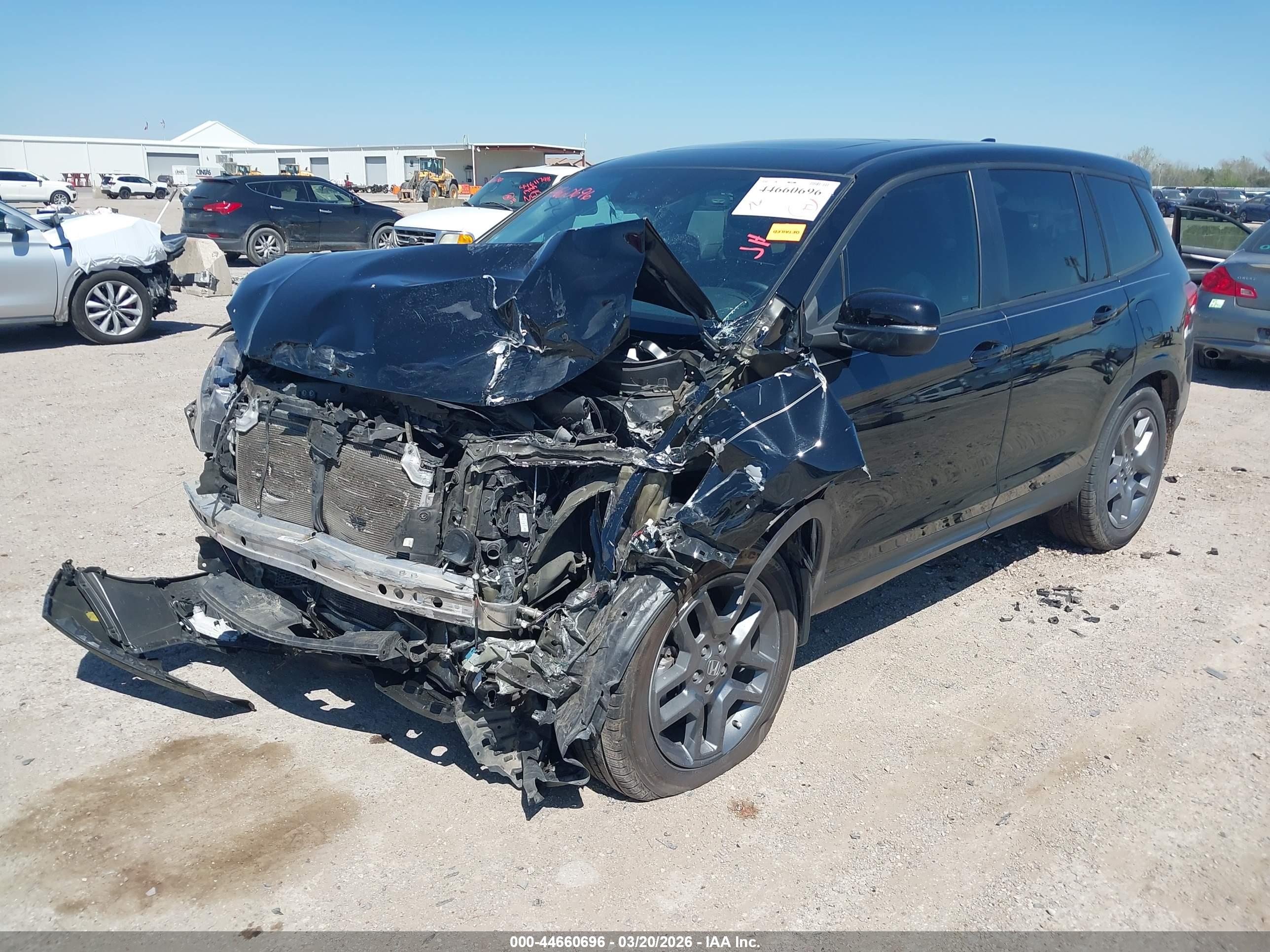 HONDA PASSPORT image 2