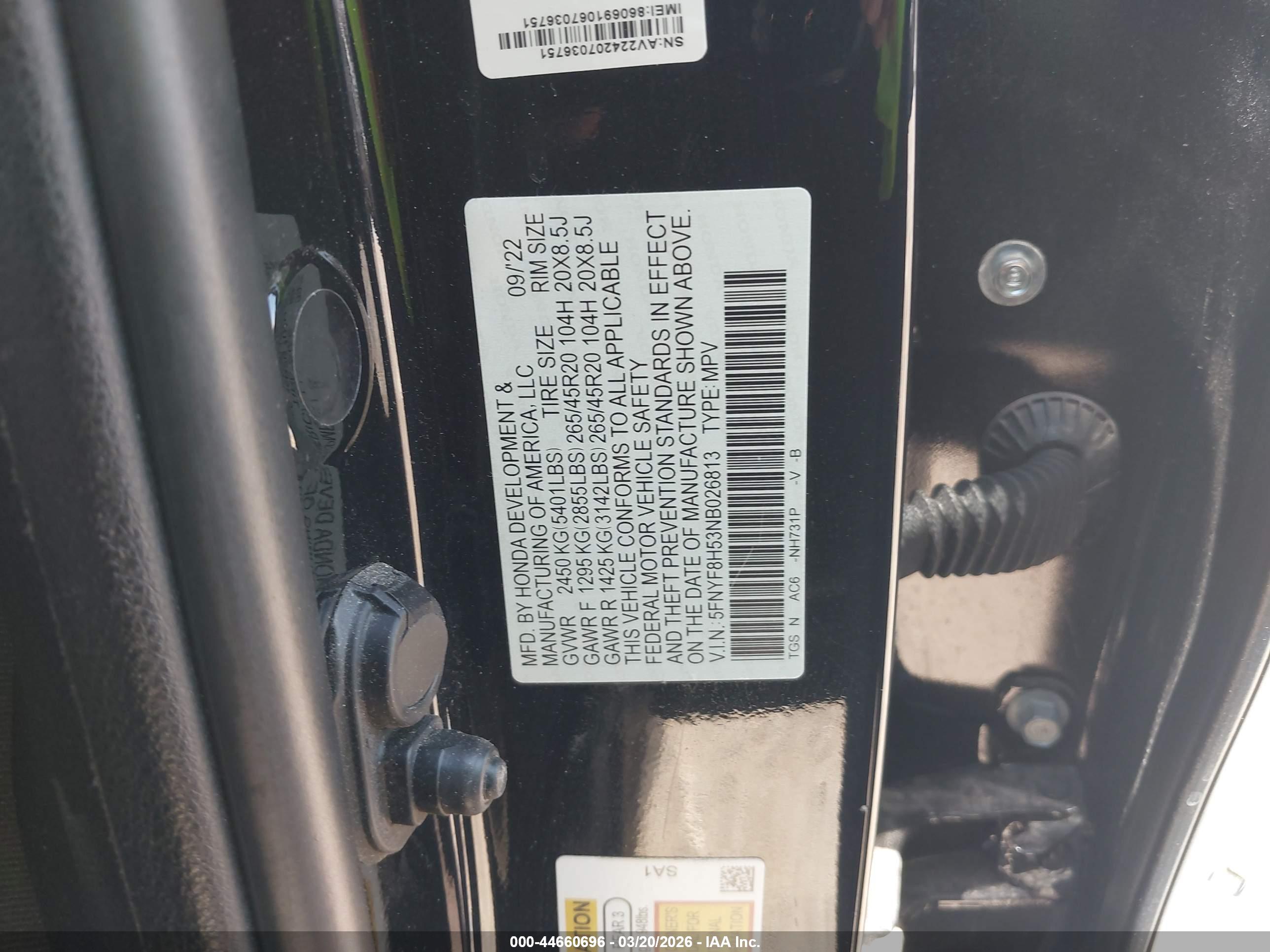 HONDA PASSPORT image 9