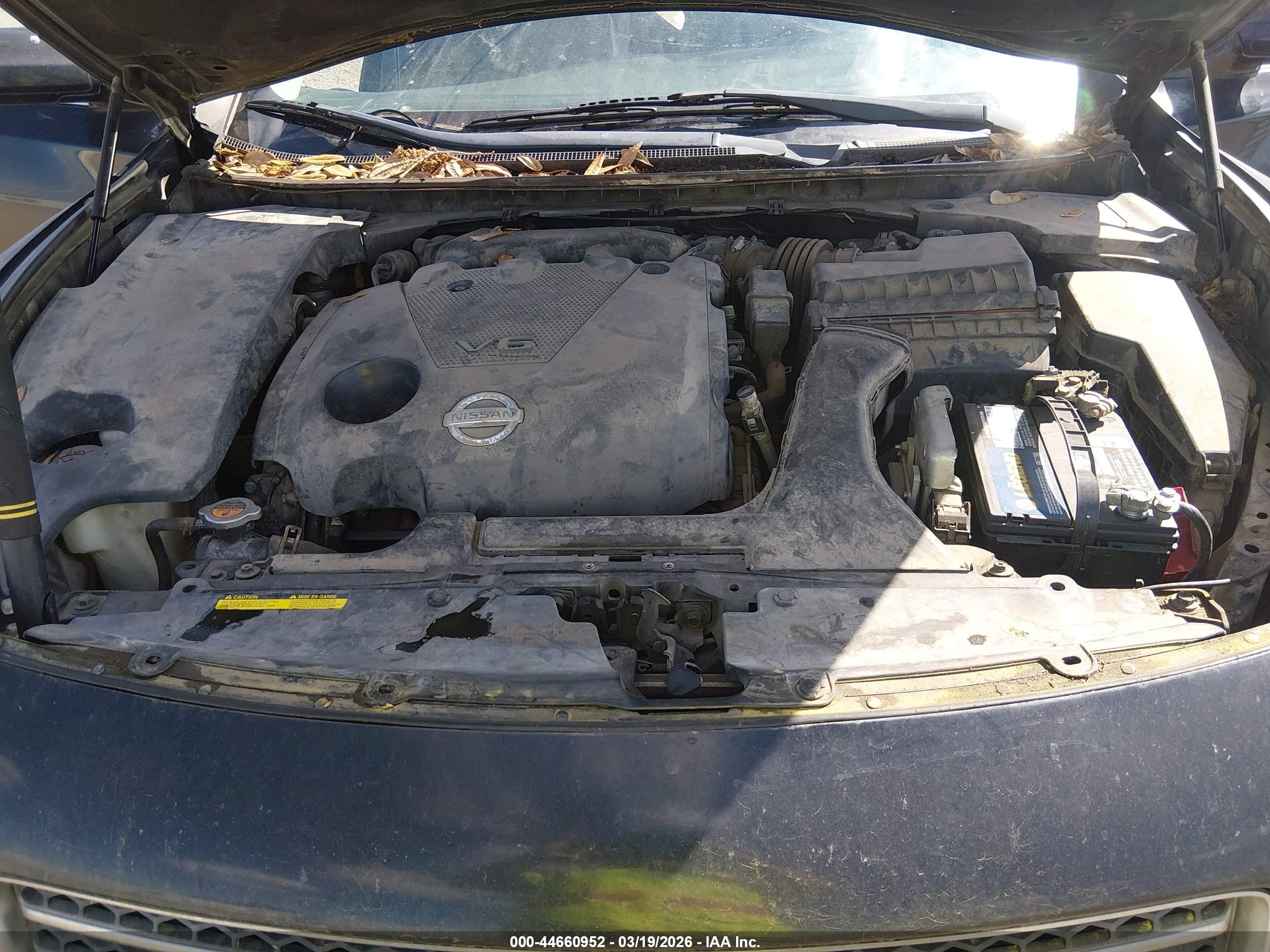 NISSAN MAXIMA image 10