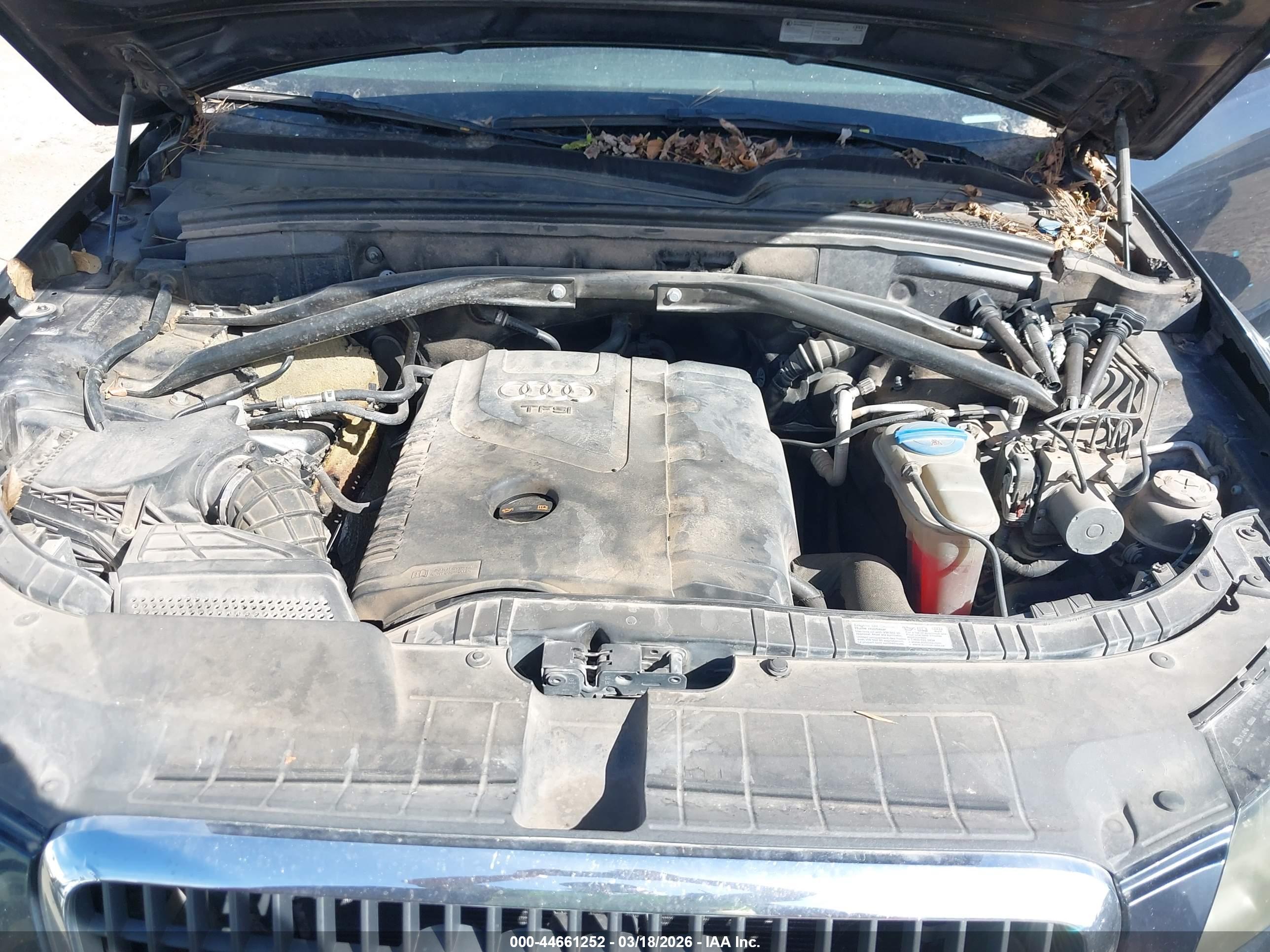 AUDI Q5 image 10