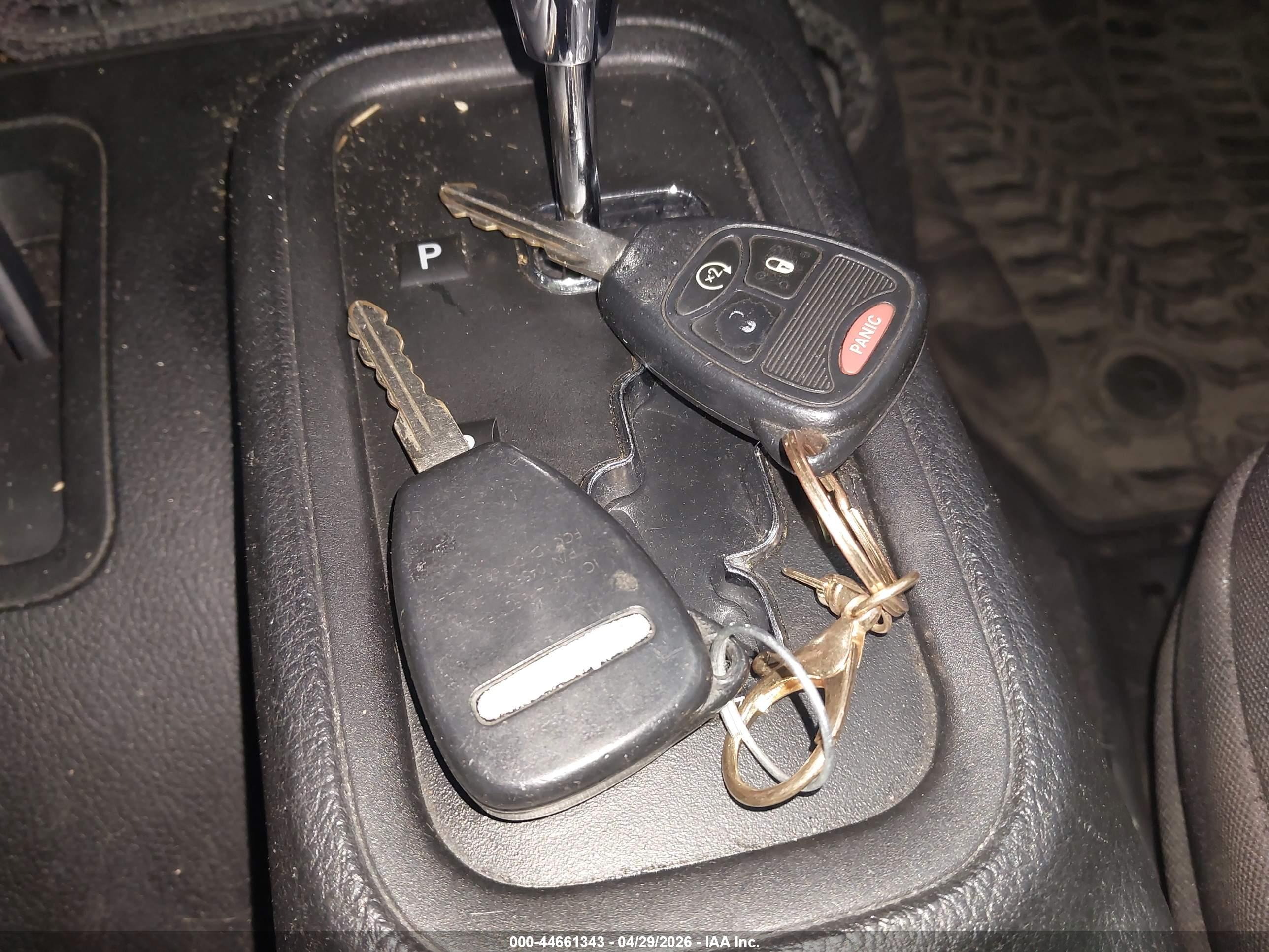 JEEP WRANGLER image 11