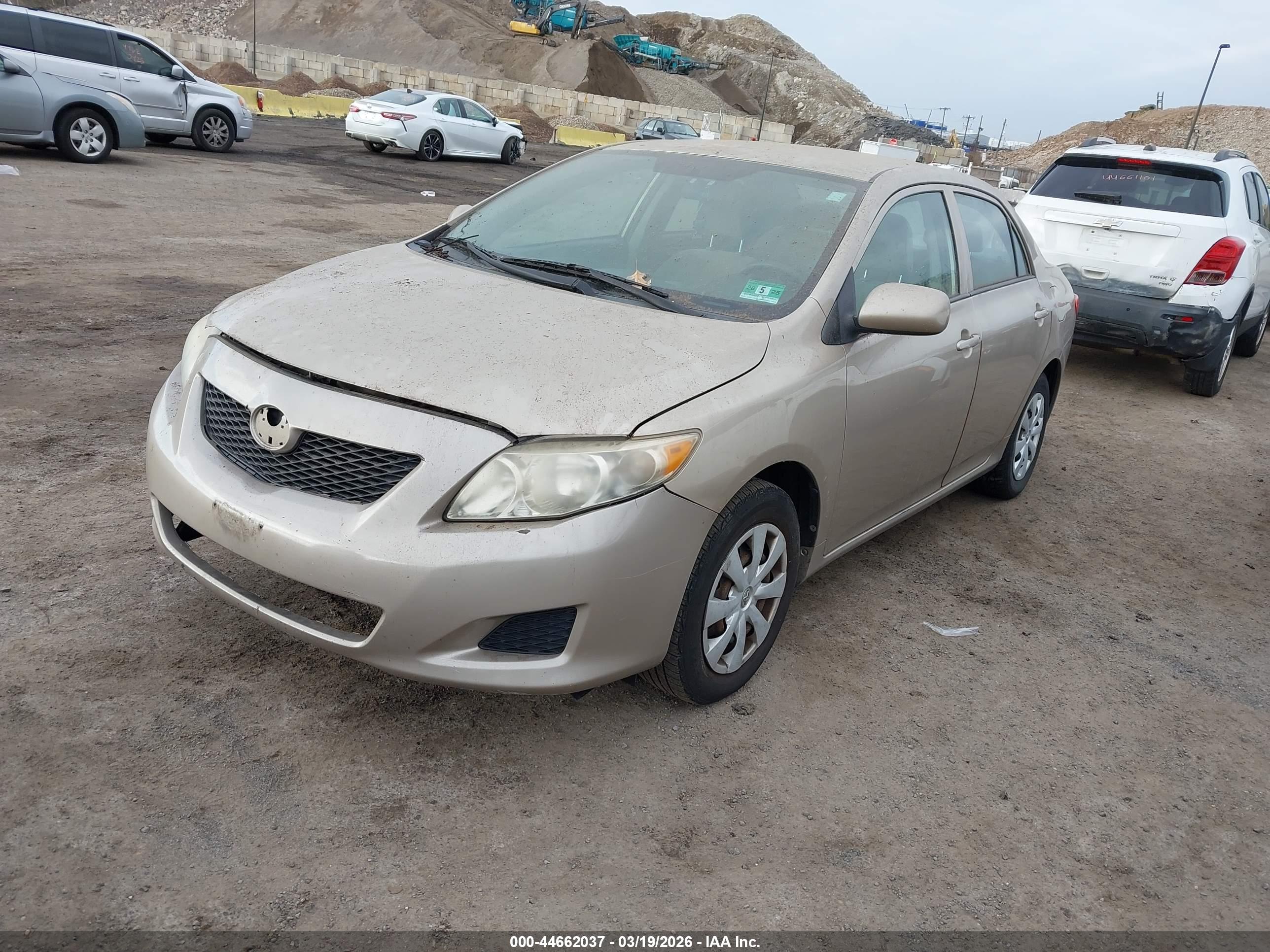 TOYOTA COROLLA image 2