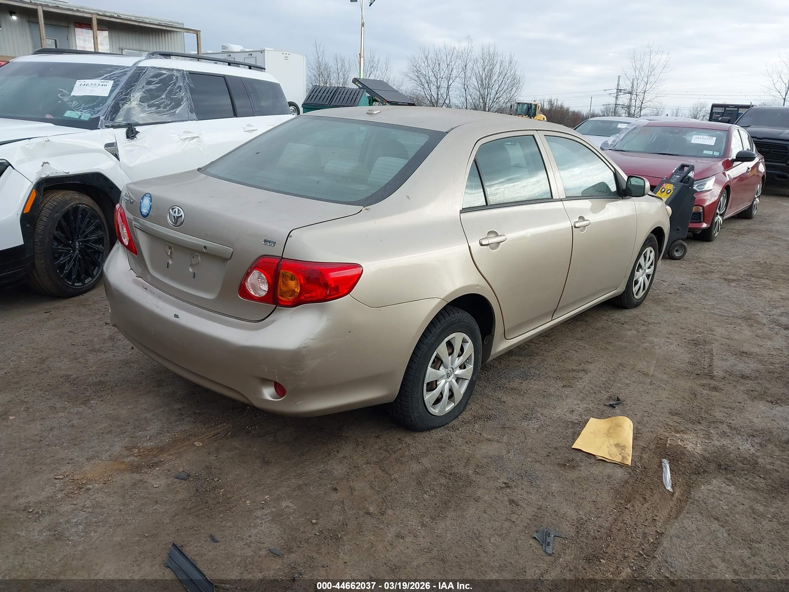 TOYOTA COROLLA image 4