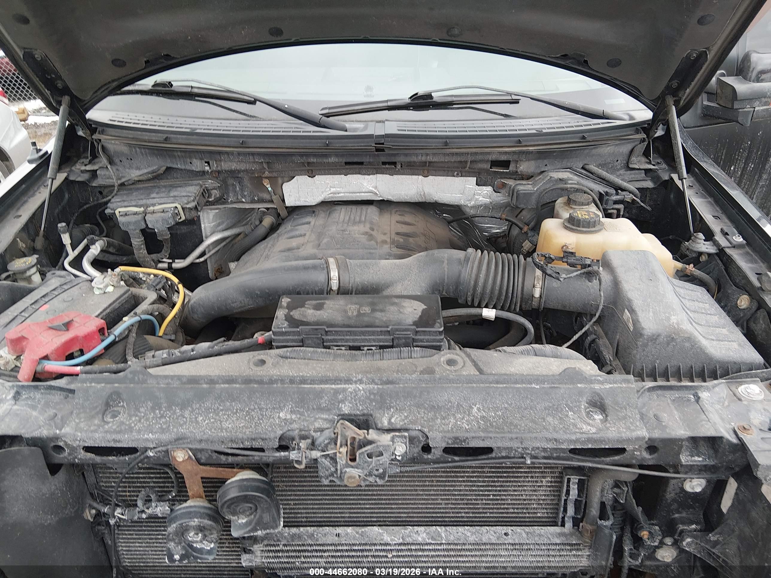 FORD F-150 image 10