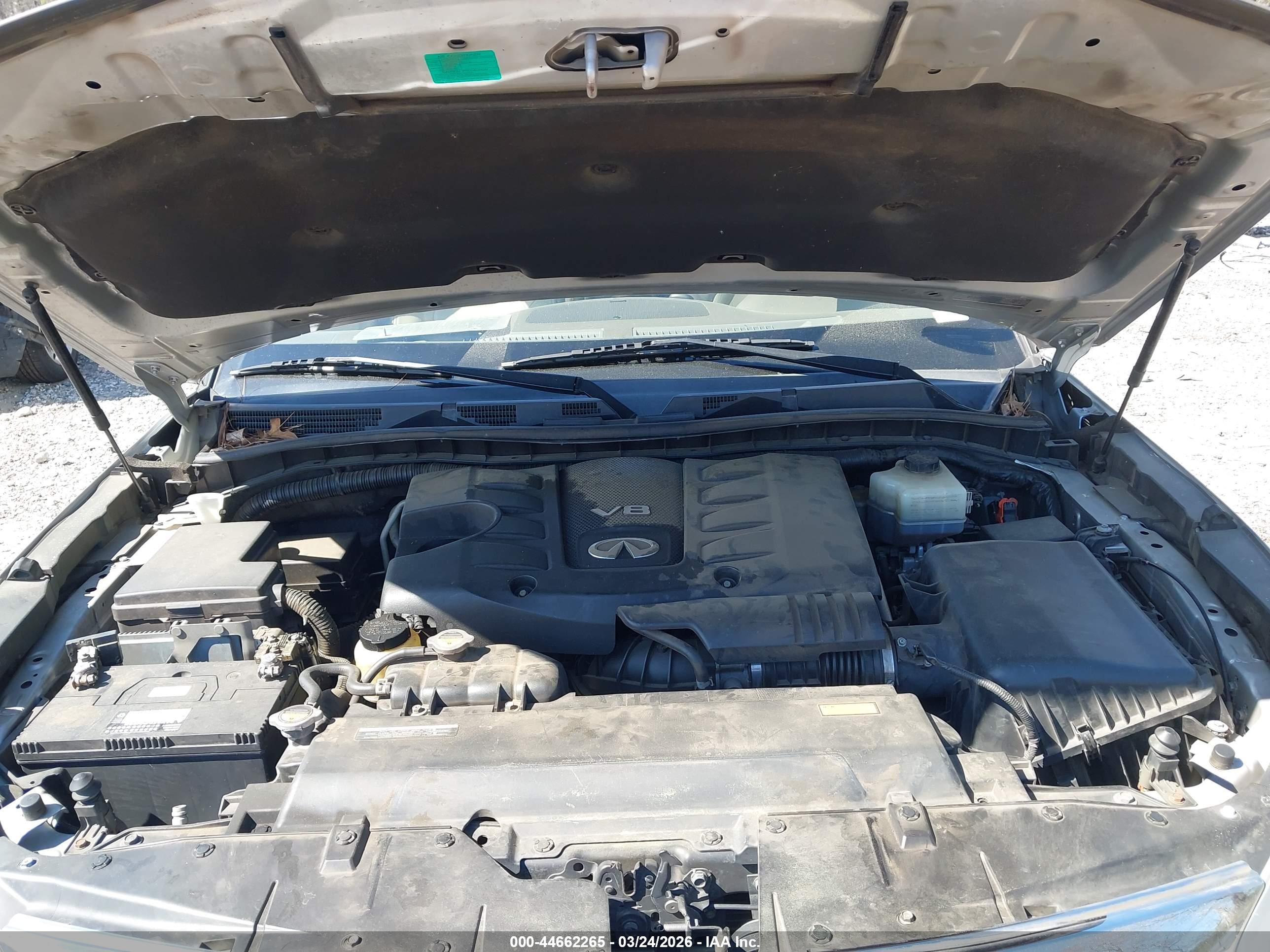 INFINITI QX80 image 10