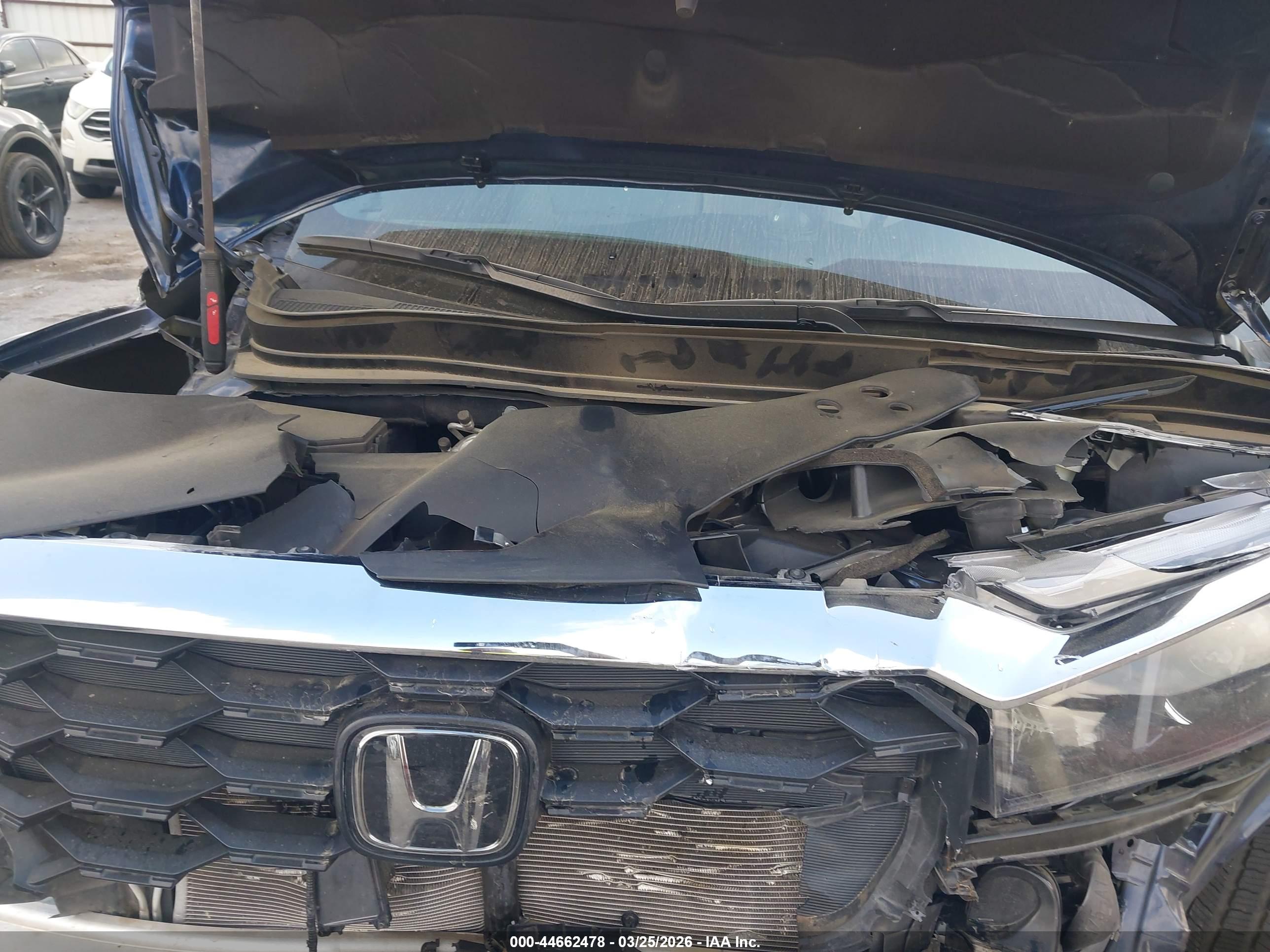 HONDA PASSPORT image 10
