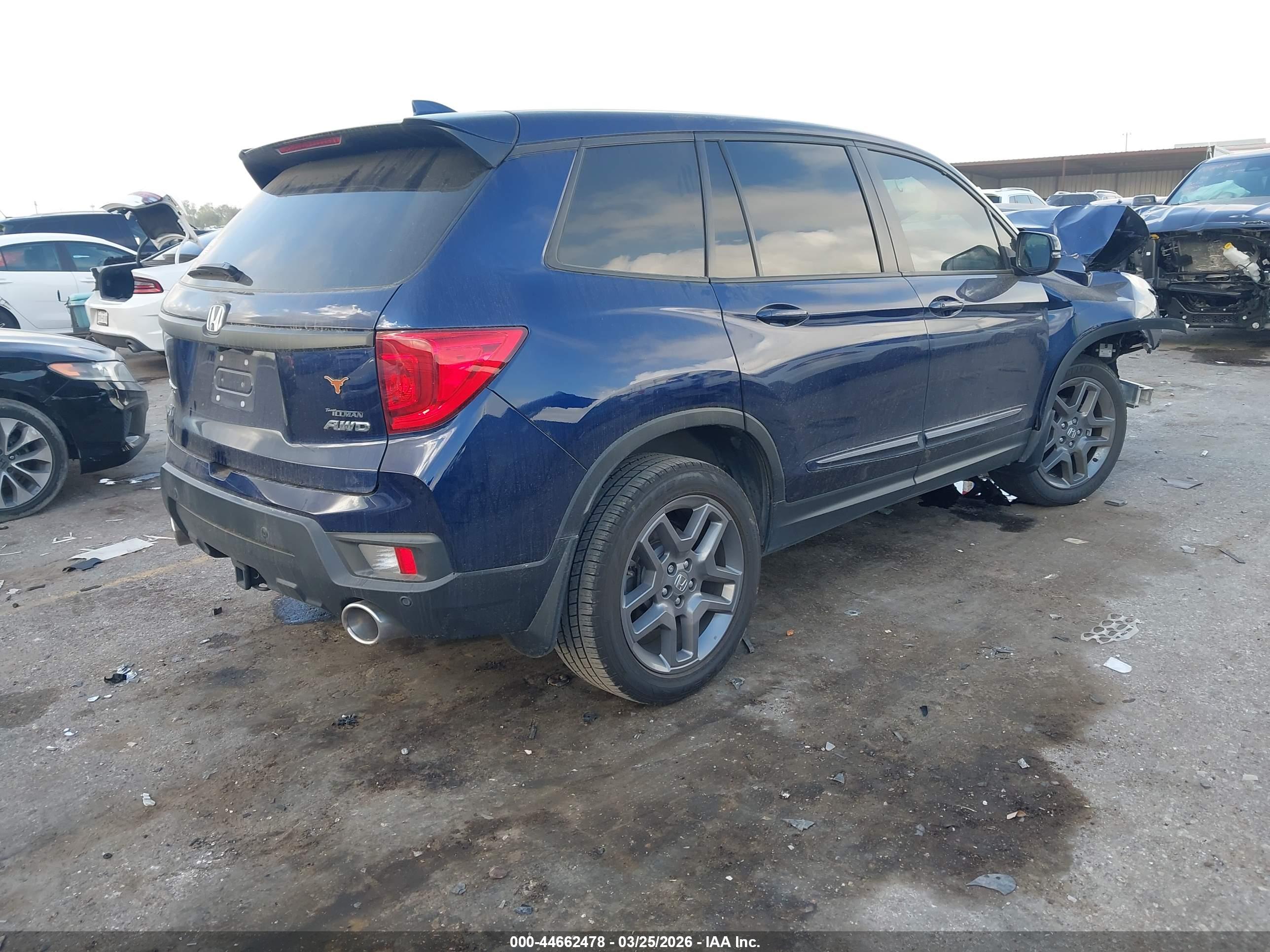 HONDA PASSPORT image 4