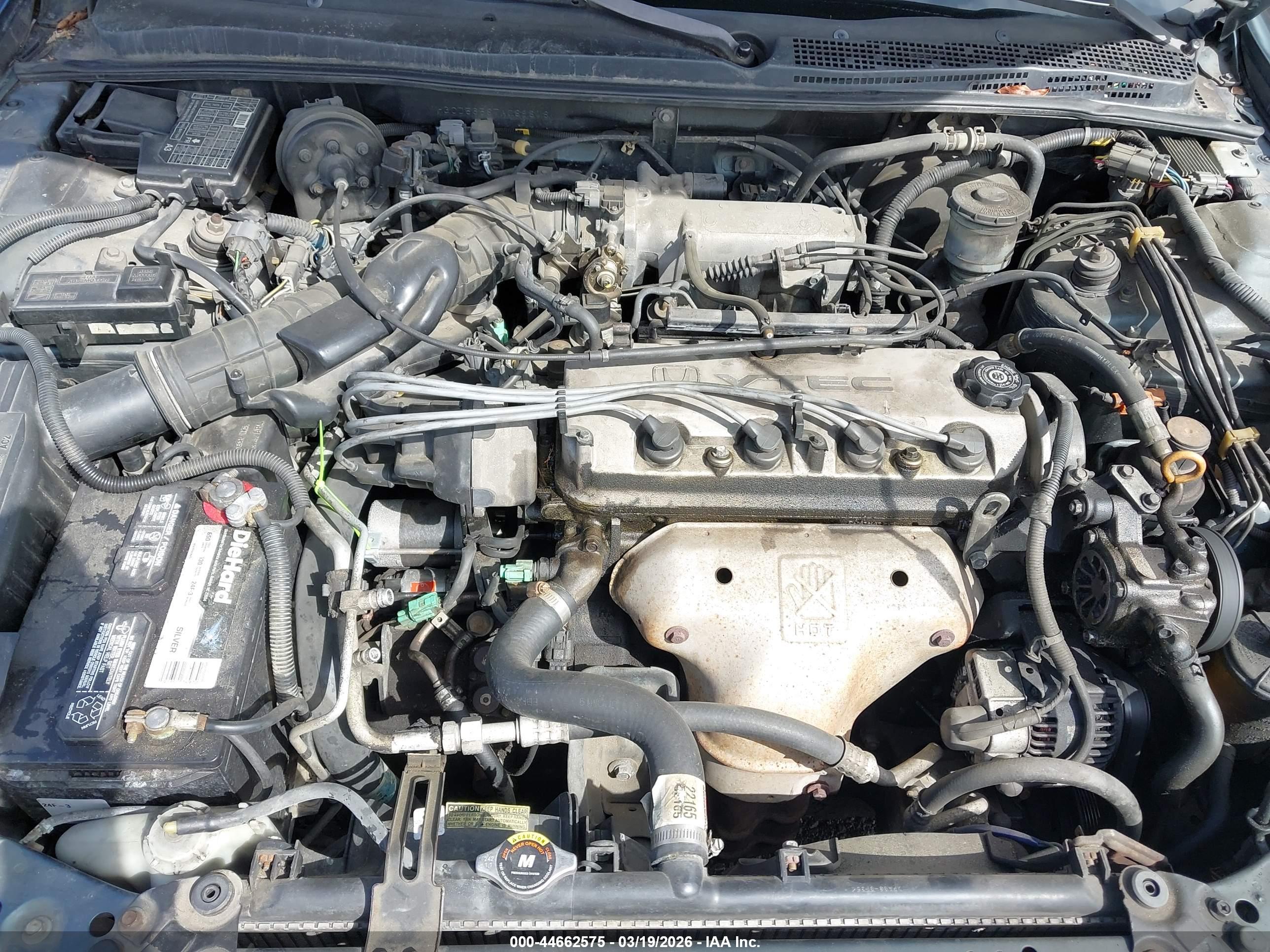 HONDA ACCORD image 10