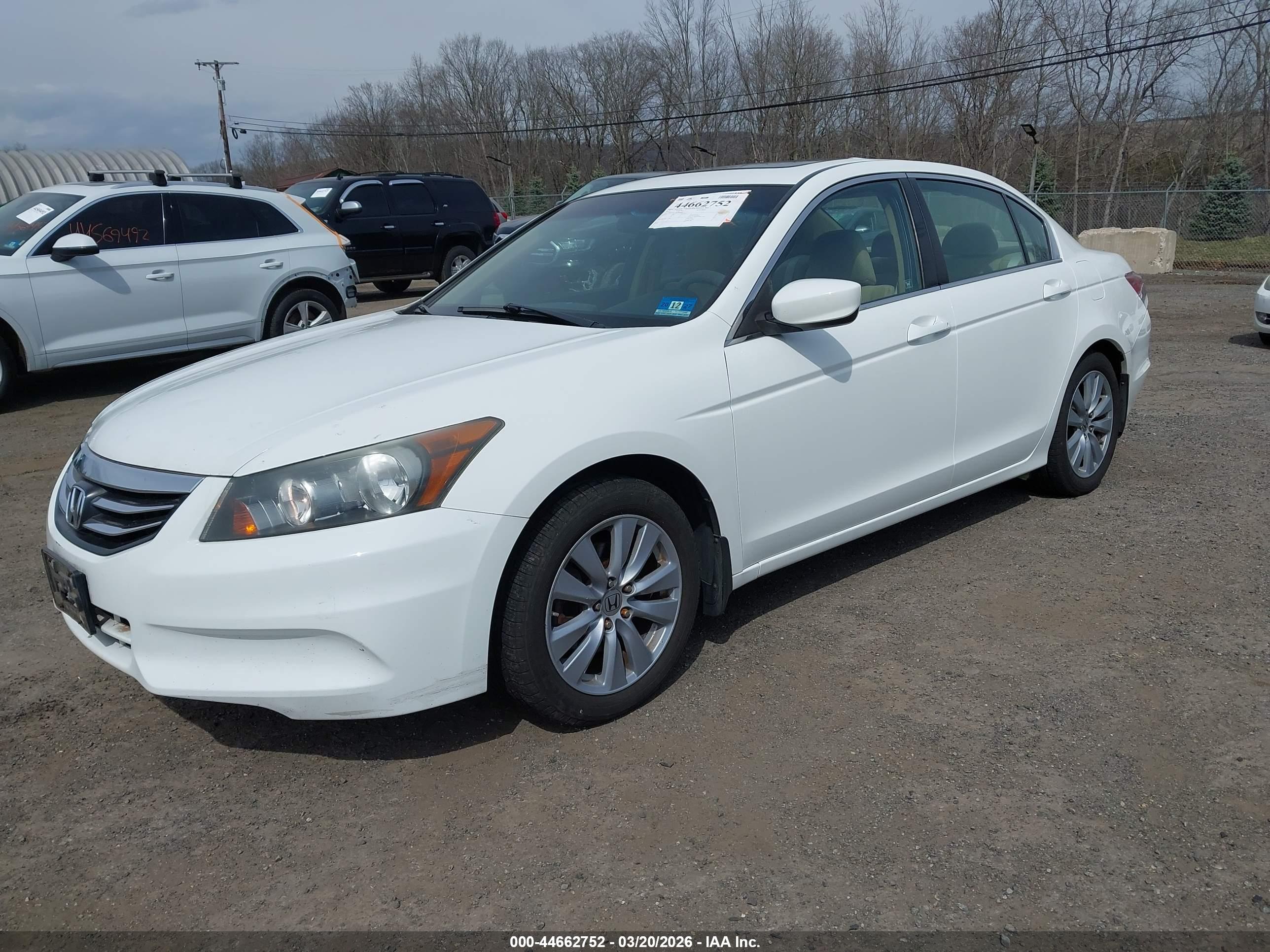 HONDA ACCORD image 2