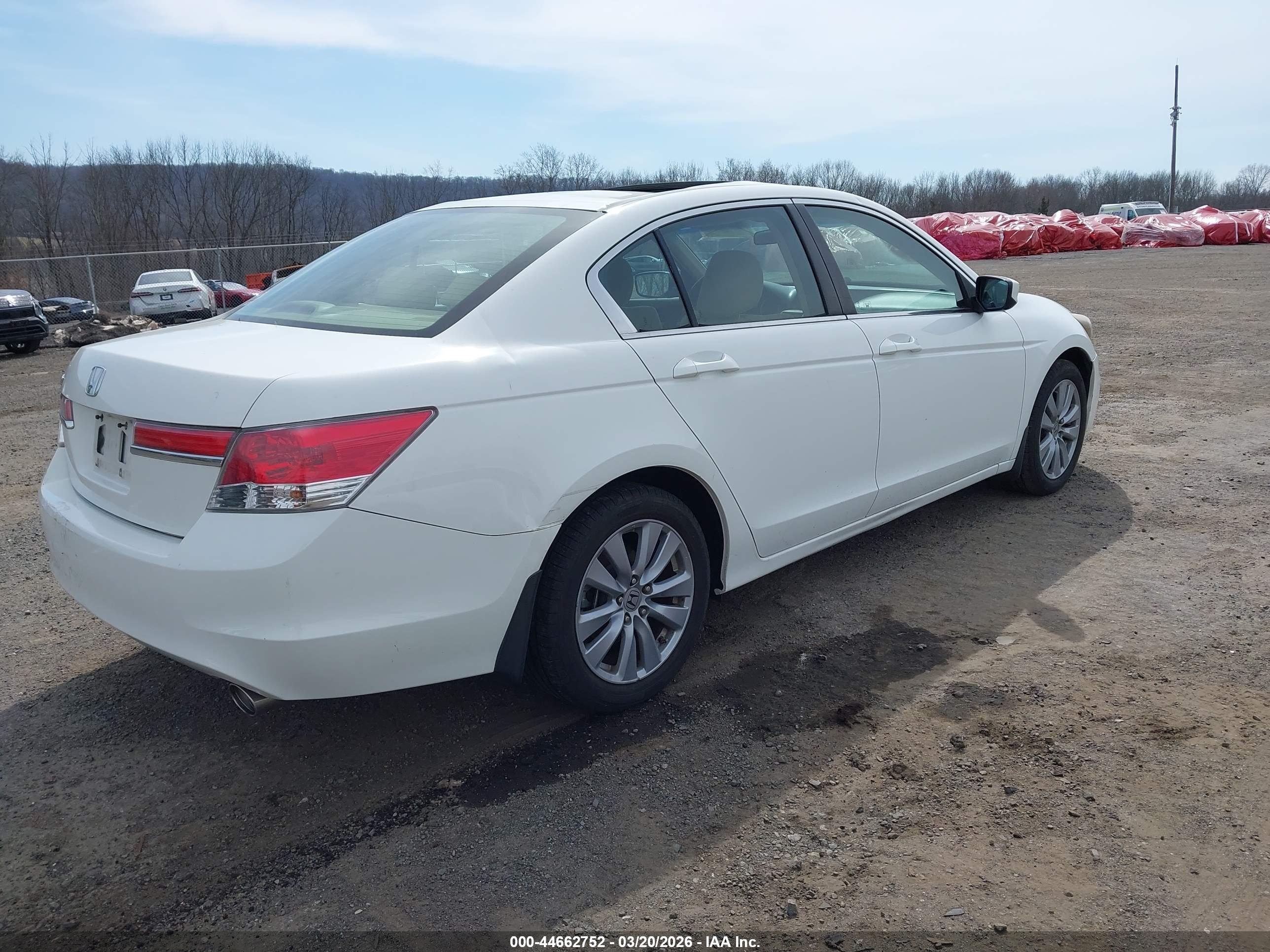 HONDA ACCORD image 4