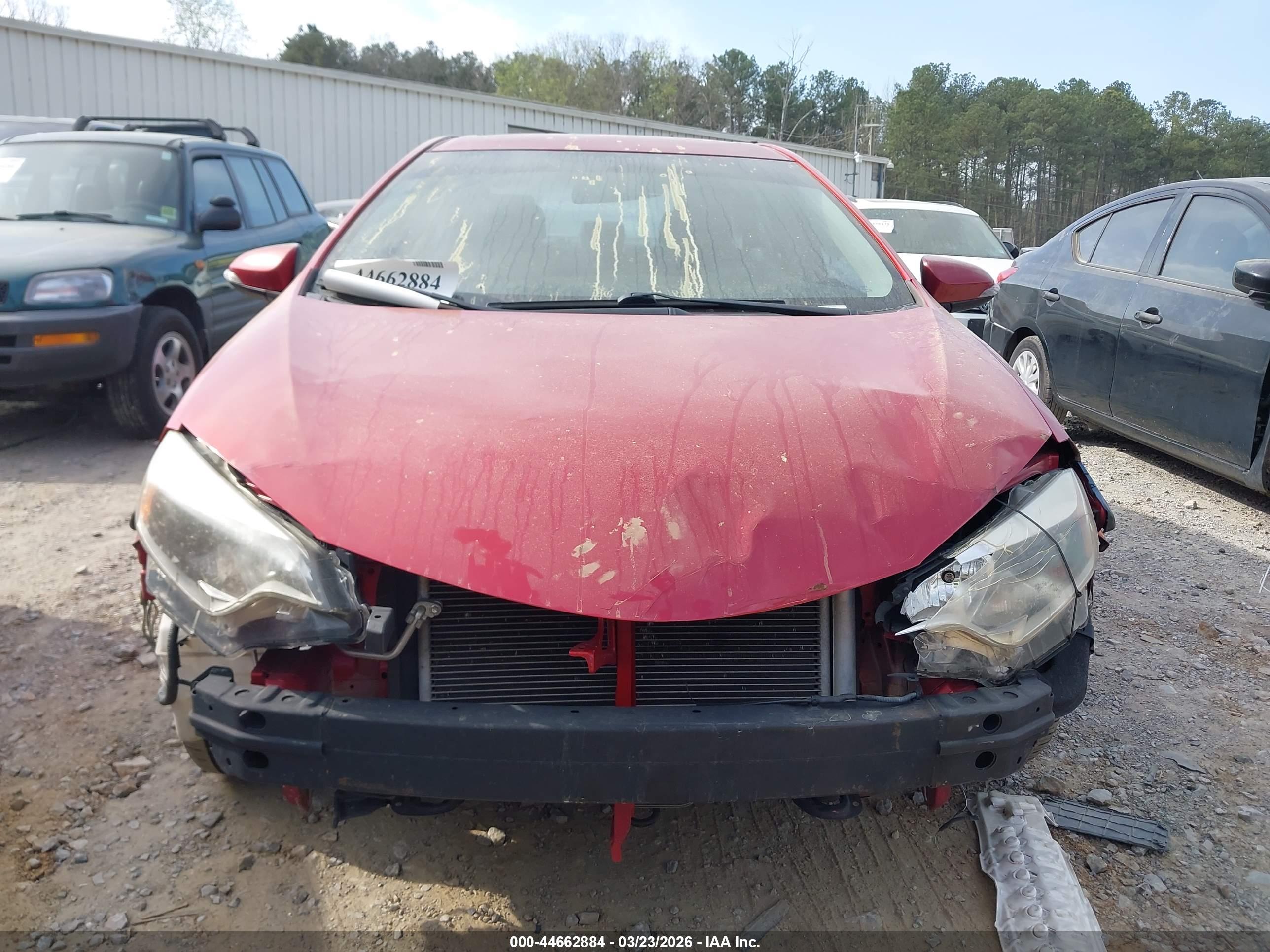 TOYOTA COROLLA image 6