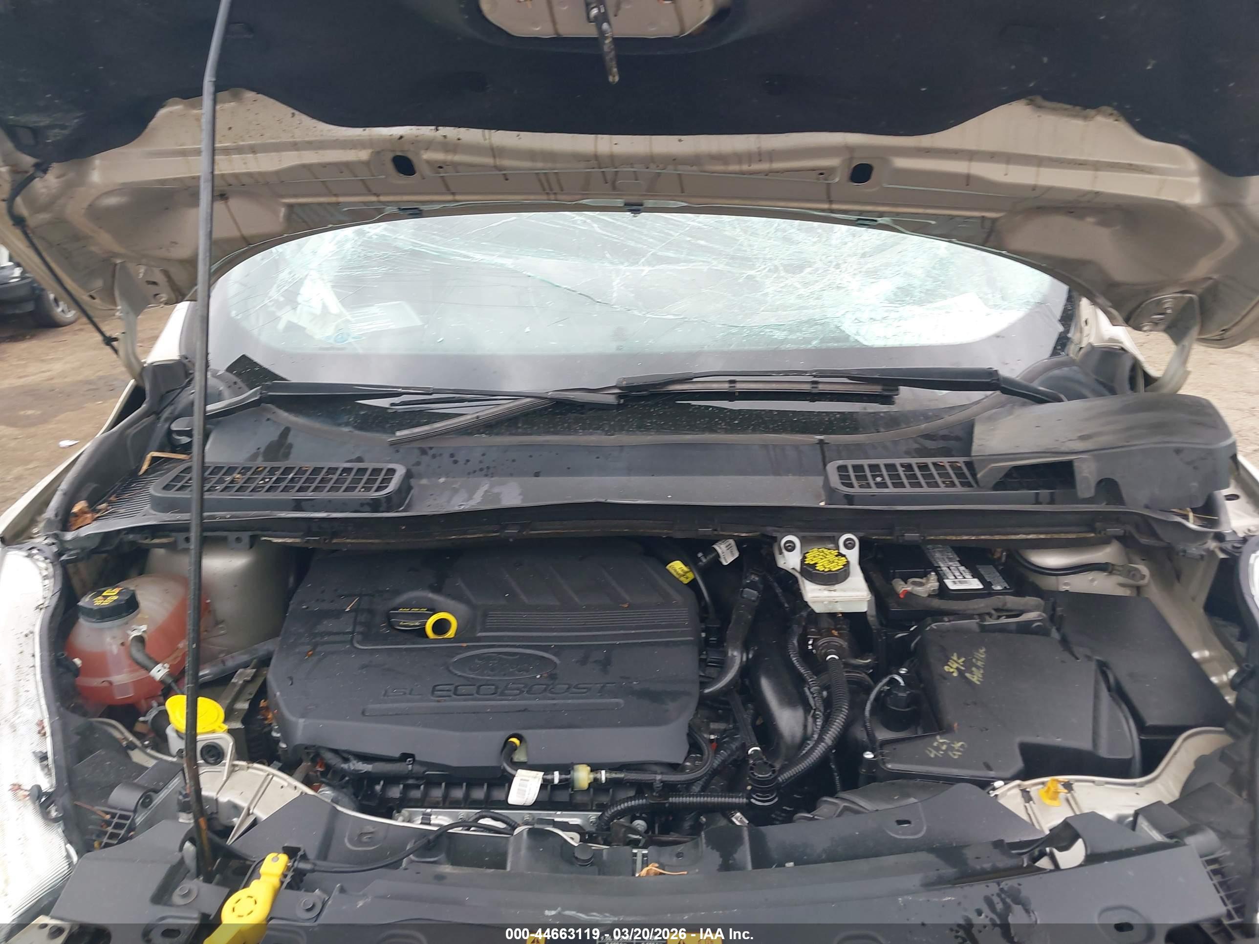 FORD ESCAPE image 10