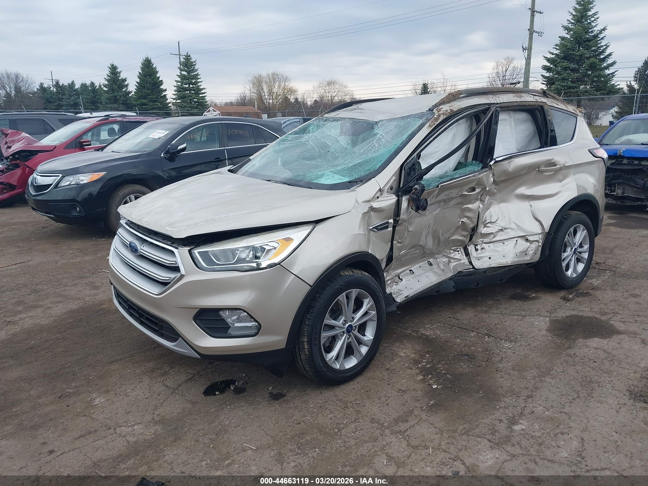 FORD ESCAPE image 2