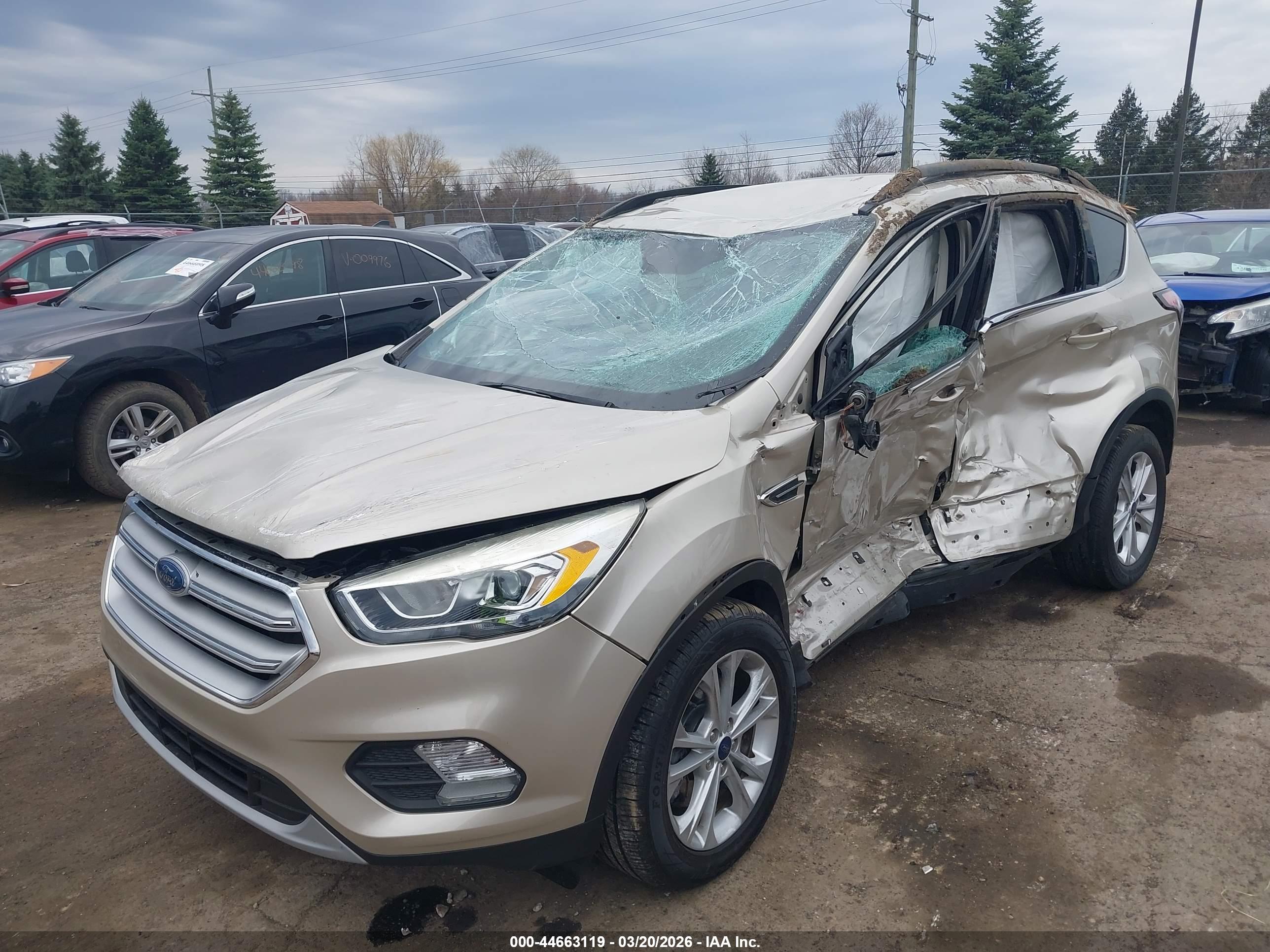 FORD ESCAPE image 6