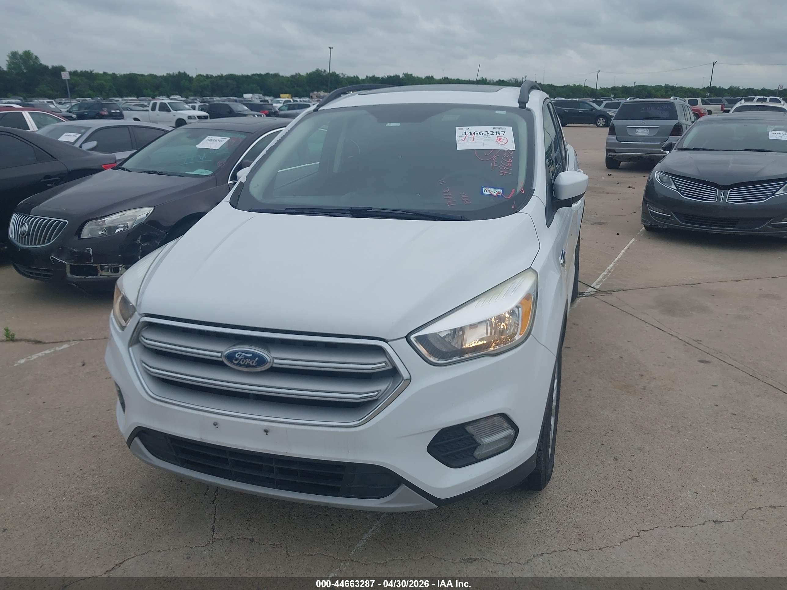 FORD ESCAPE image 6