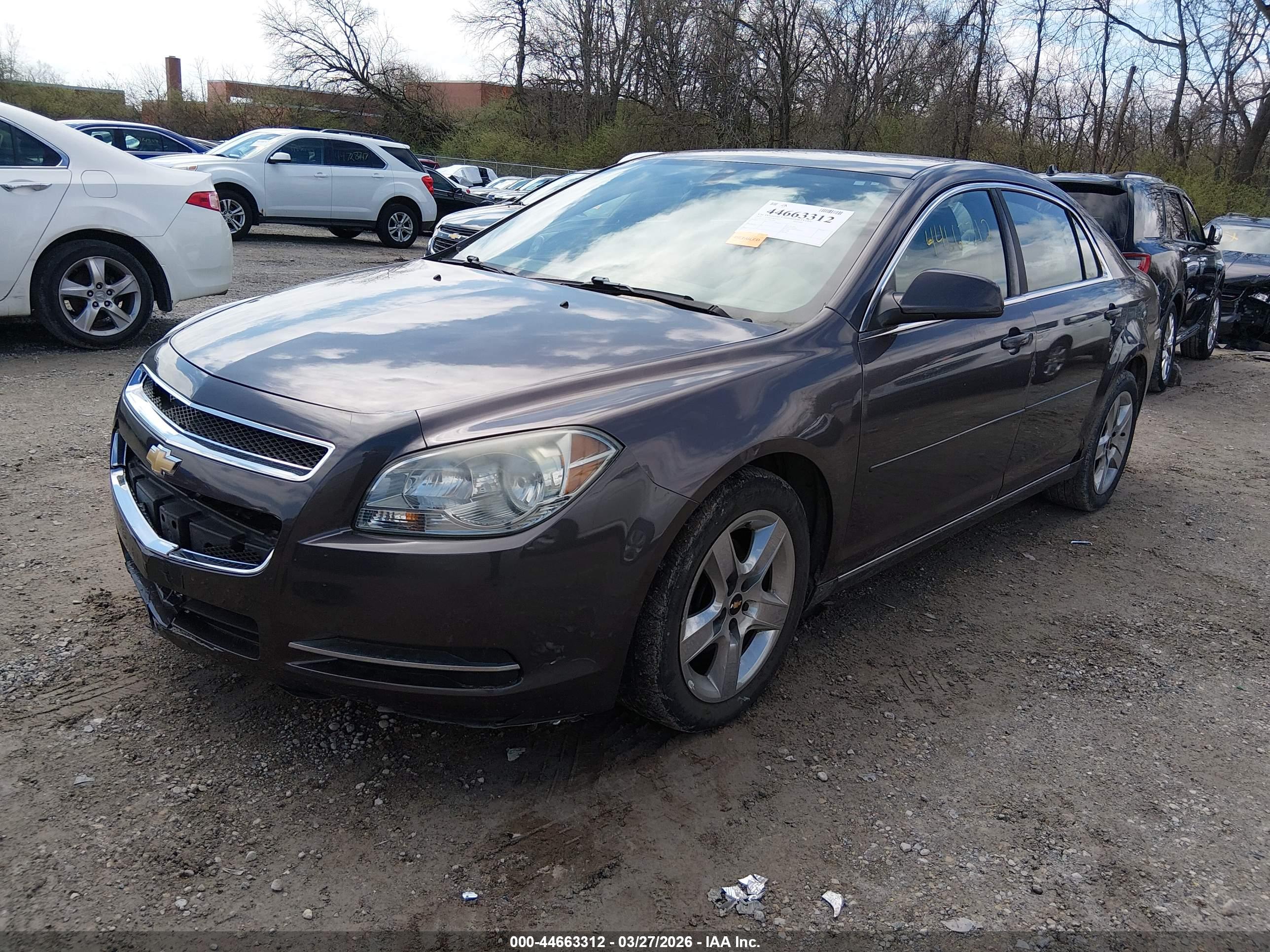 CHEVROLET MALIBU image 2