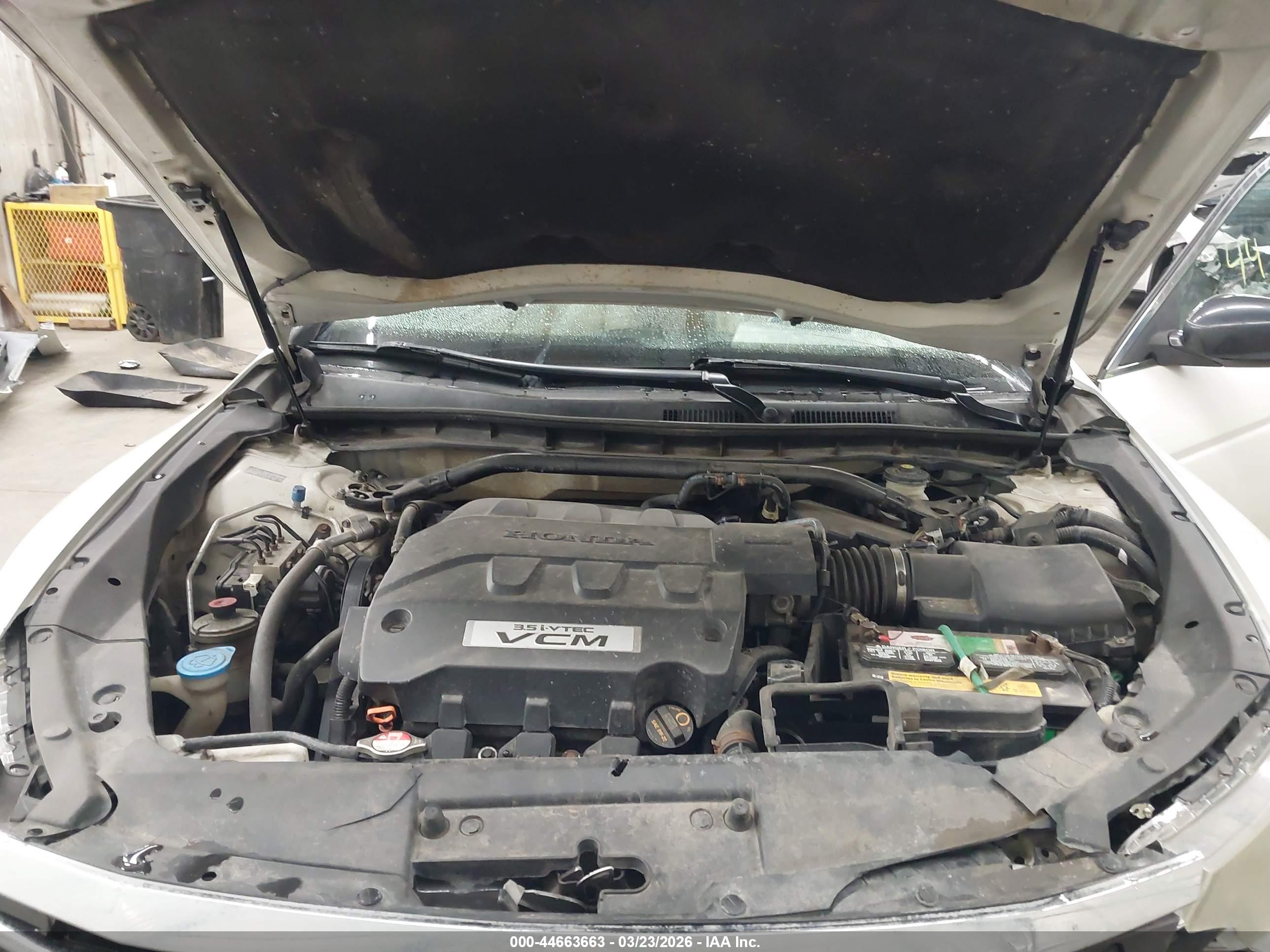 HONDA ACCORD image 10