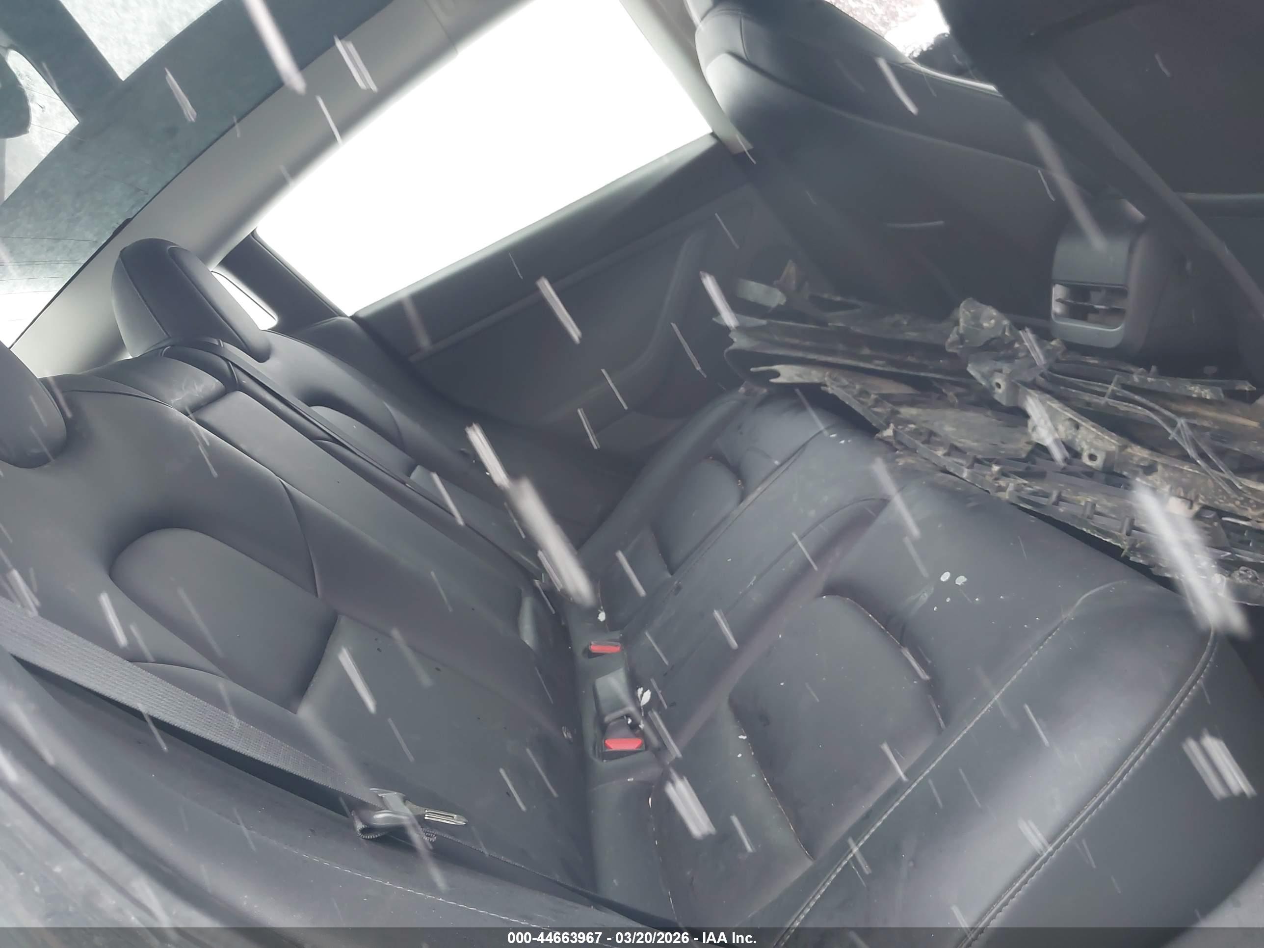 TESLA MODEL image 8