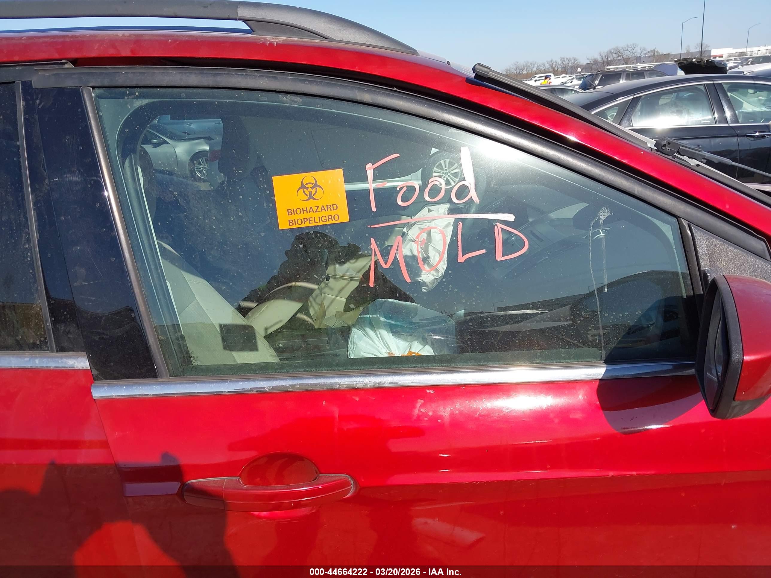 FORD ESCAPE image 5