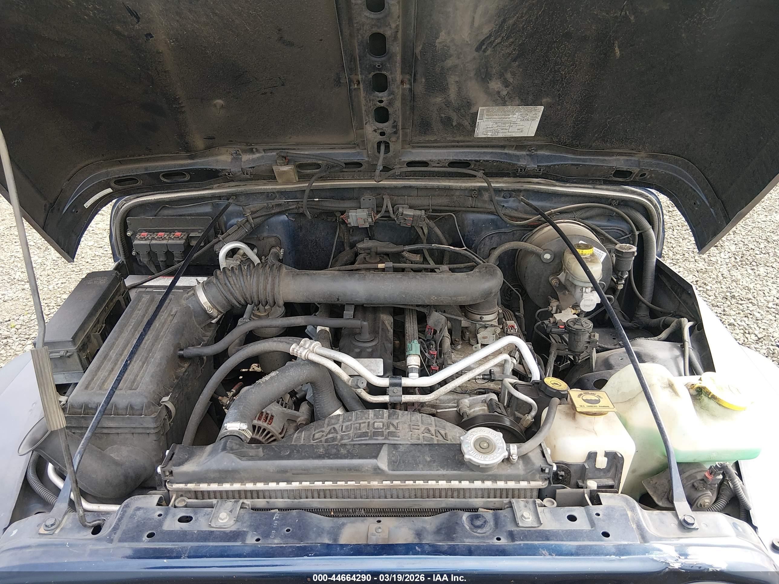 JEEP WRANGLER image 10