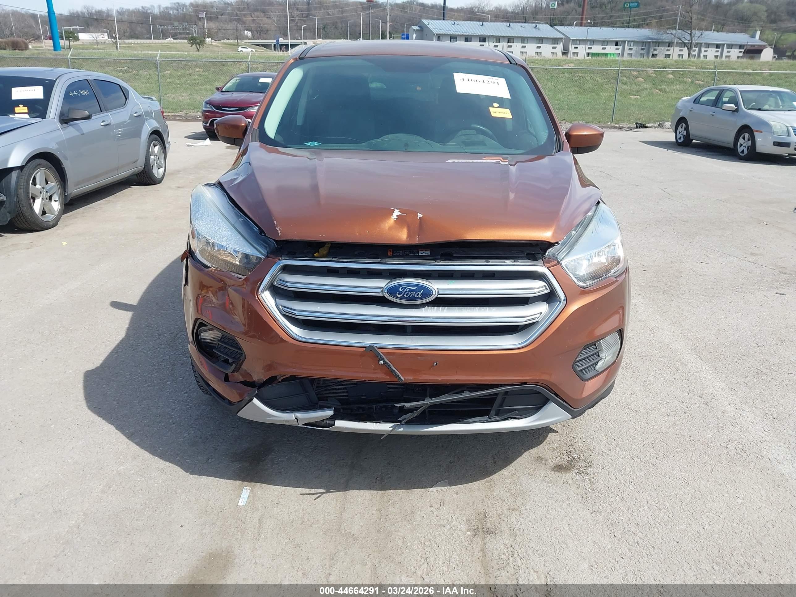 FORD ESCAPE image 6