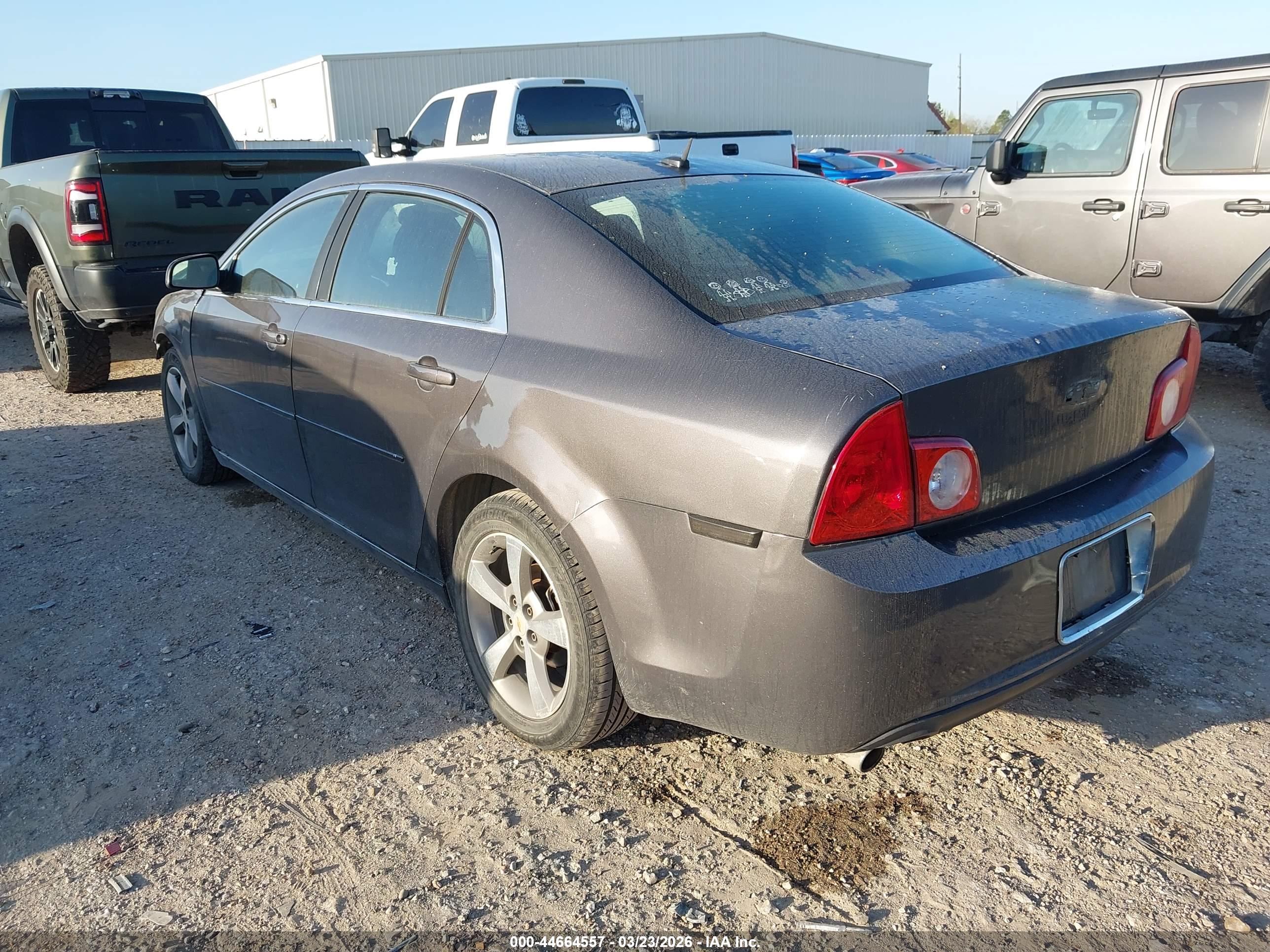 CHEVROLET MALIBU image 3
