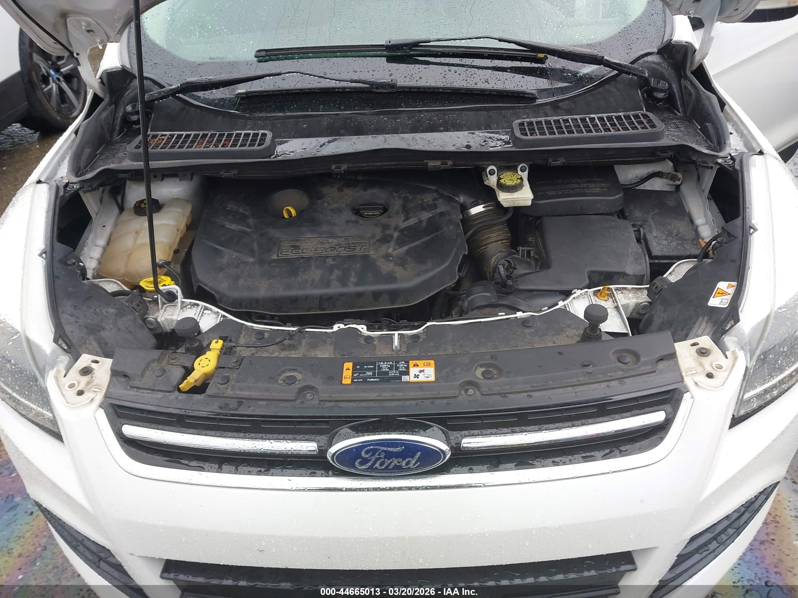 FORD ESCAPE image 10