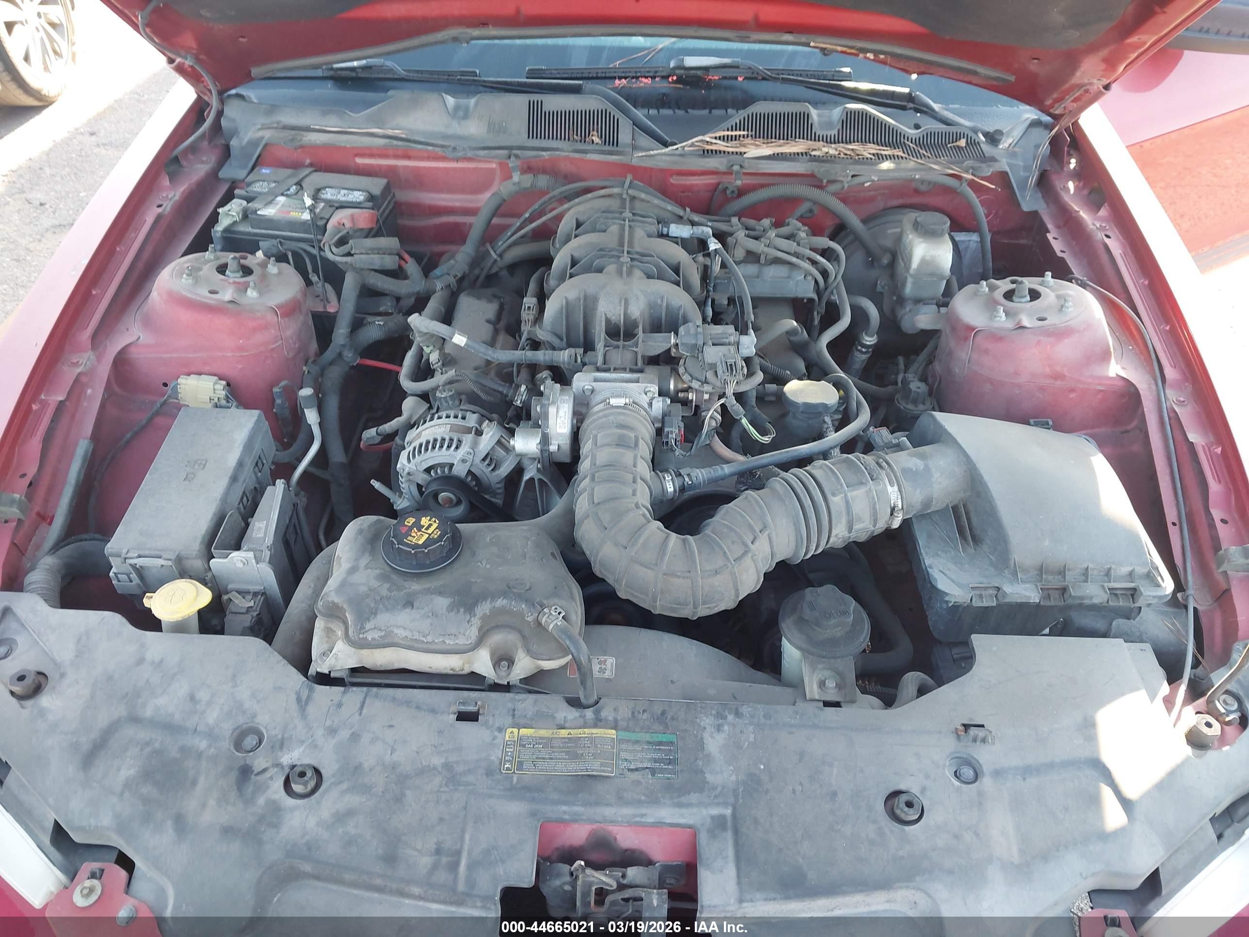FORD MUSTANG image 10