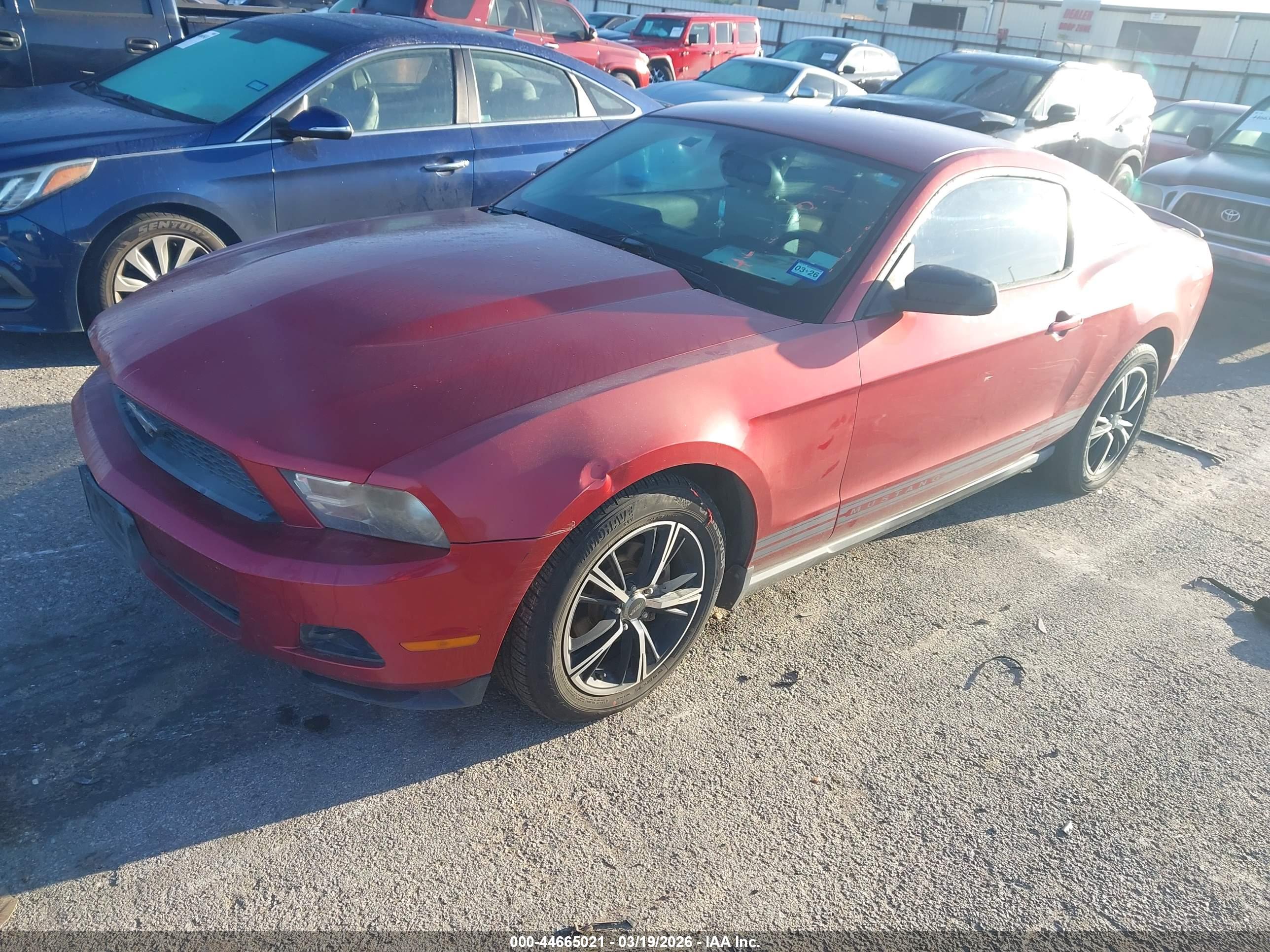 FORD MUSTANG image 2