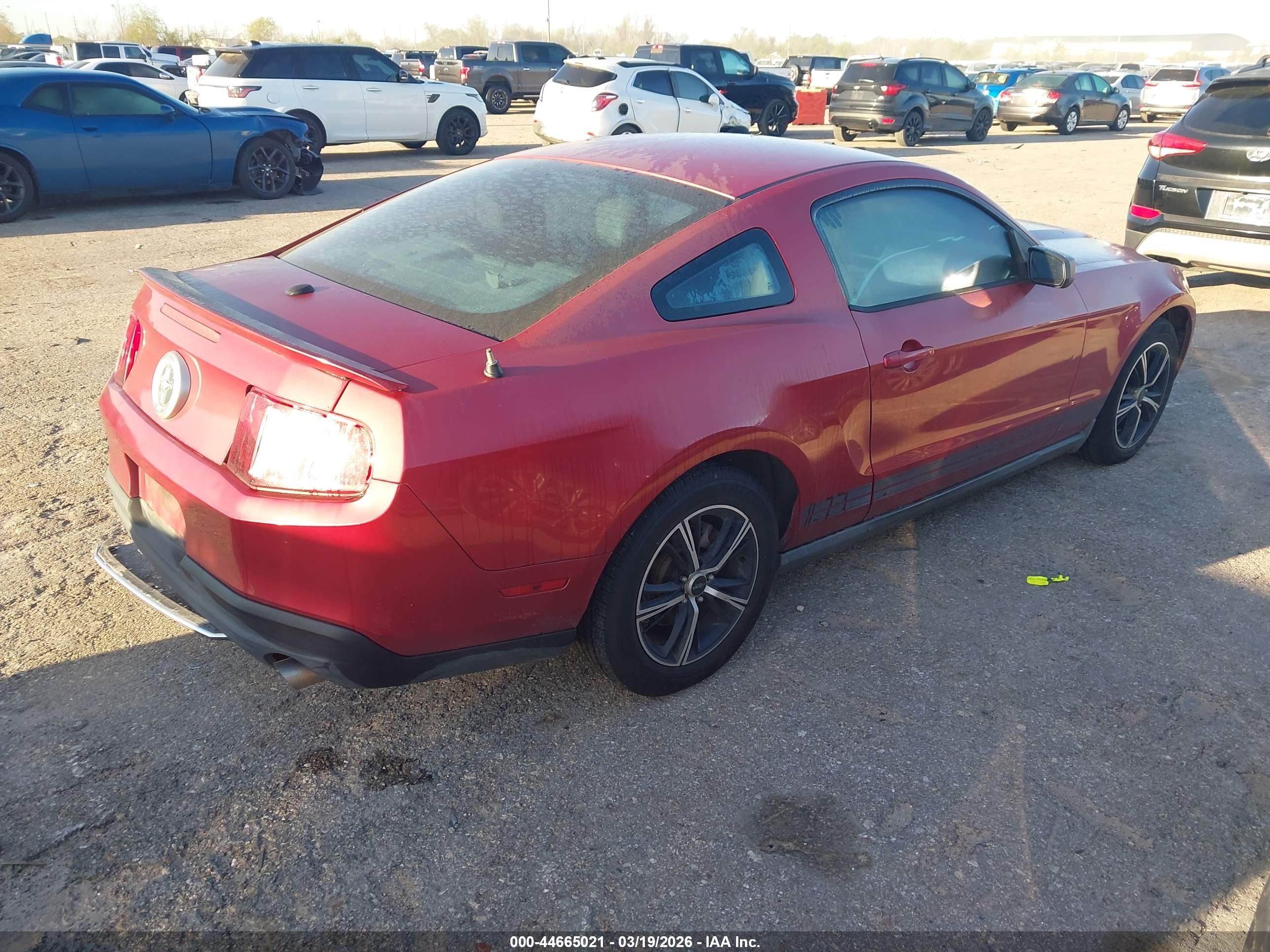 FORD MUSTANG image 4