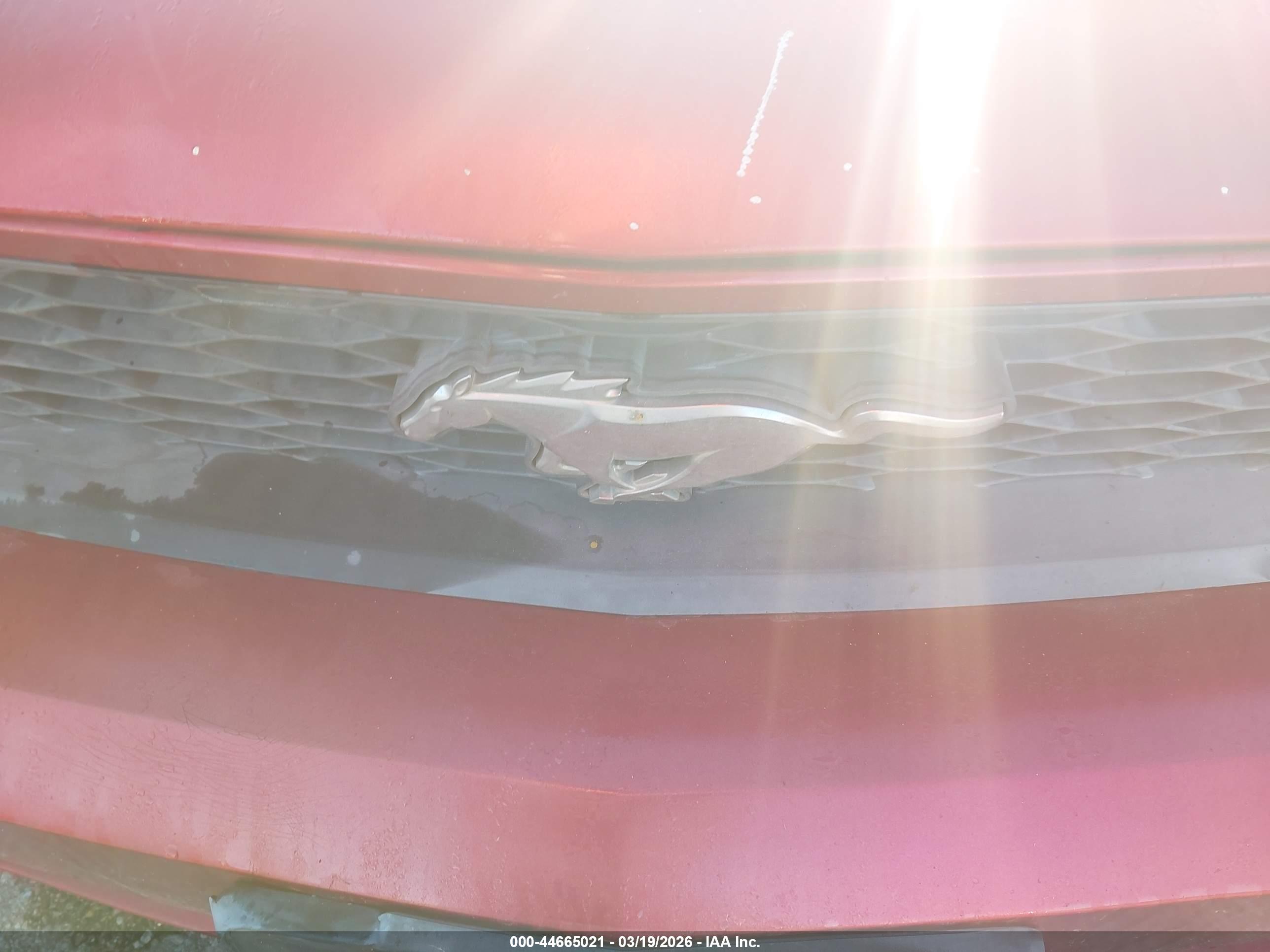 FORD MUSTANG image 6
