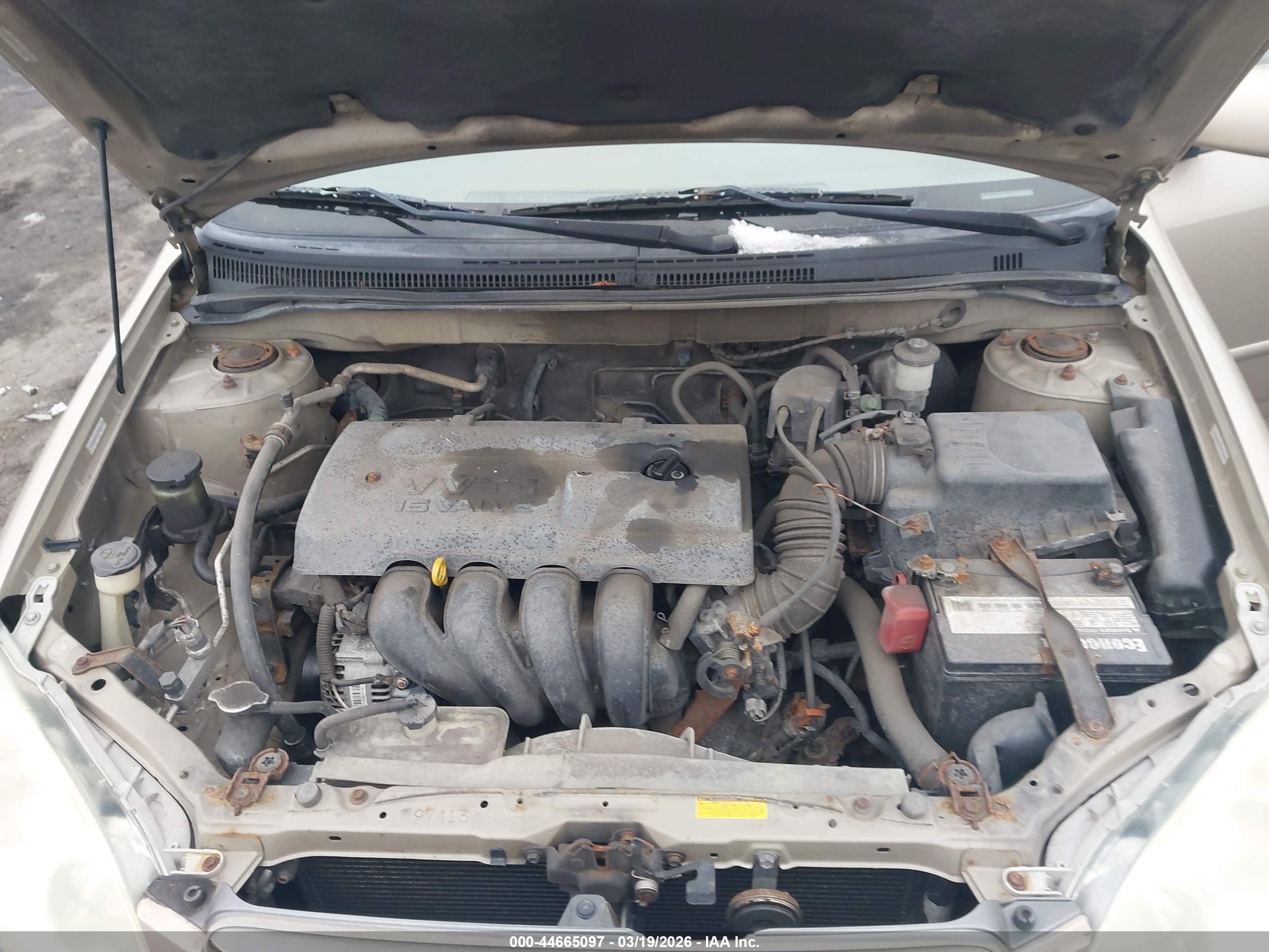 TOYOTA COROLLA image 10