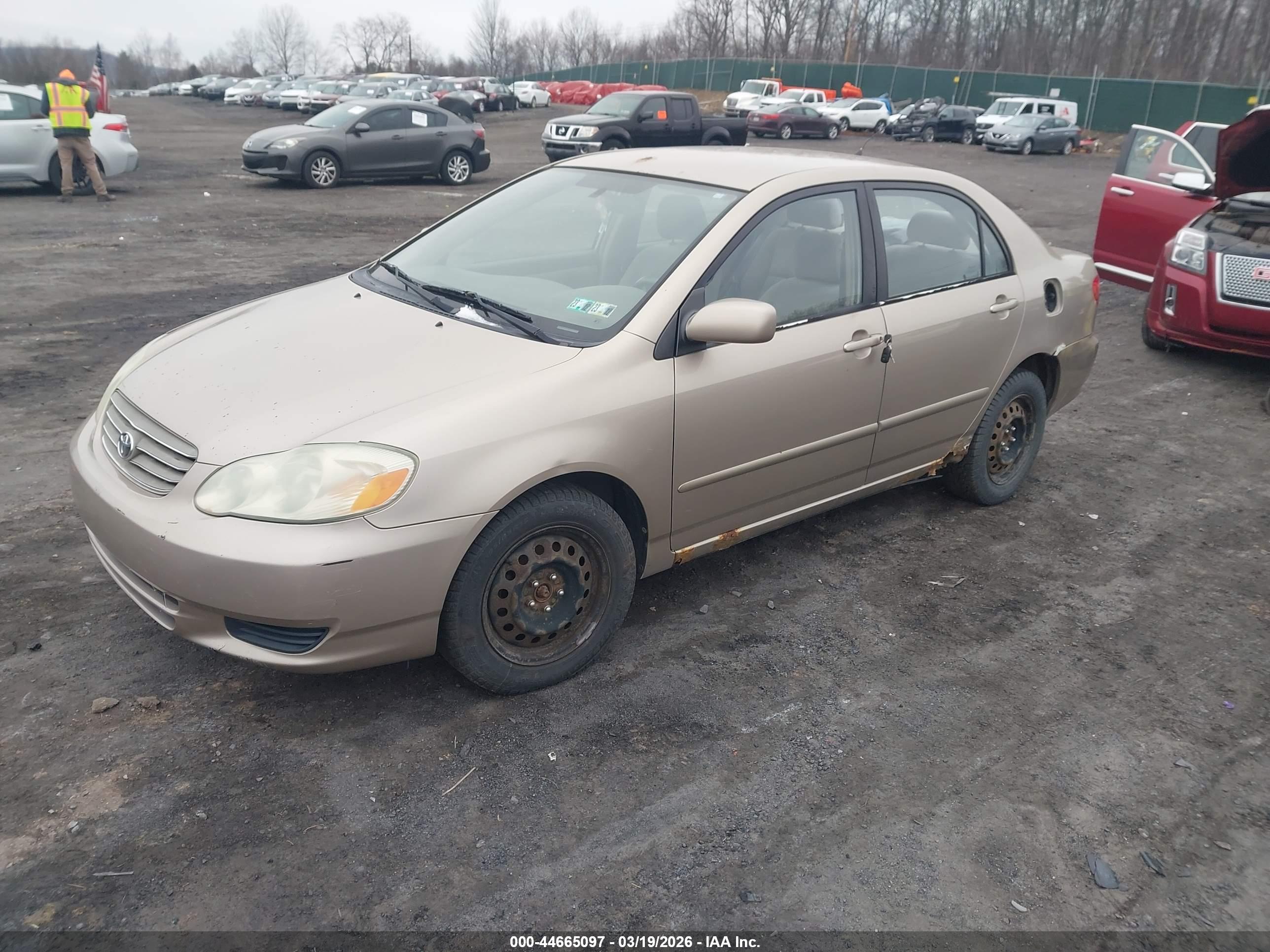 TOYOTA COROLLA image 2