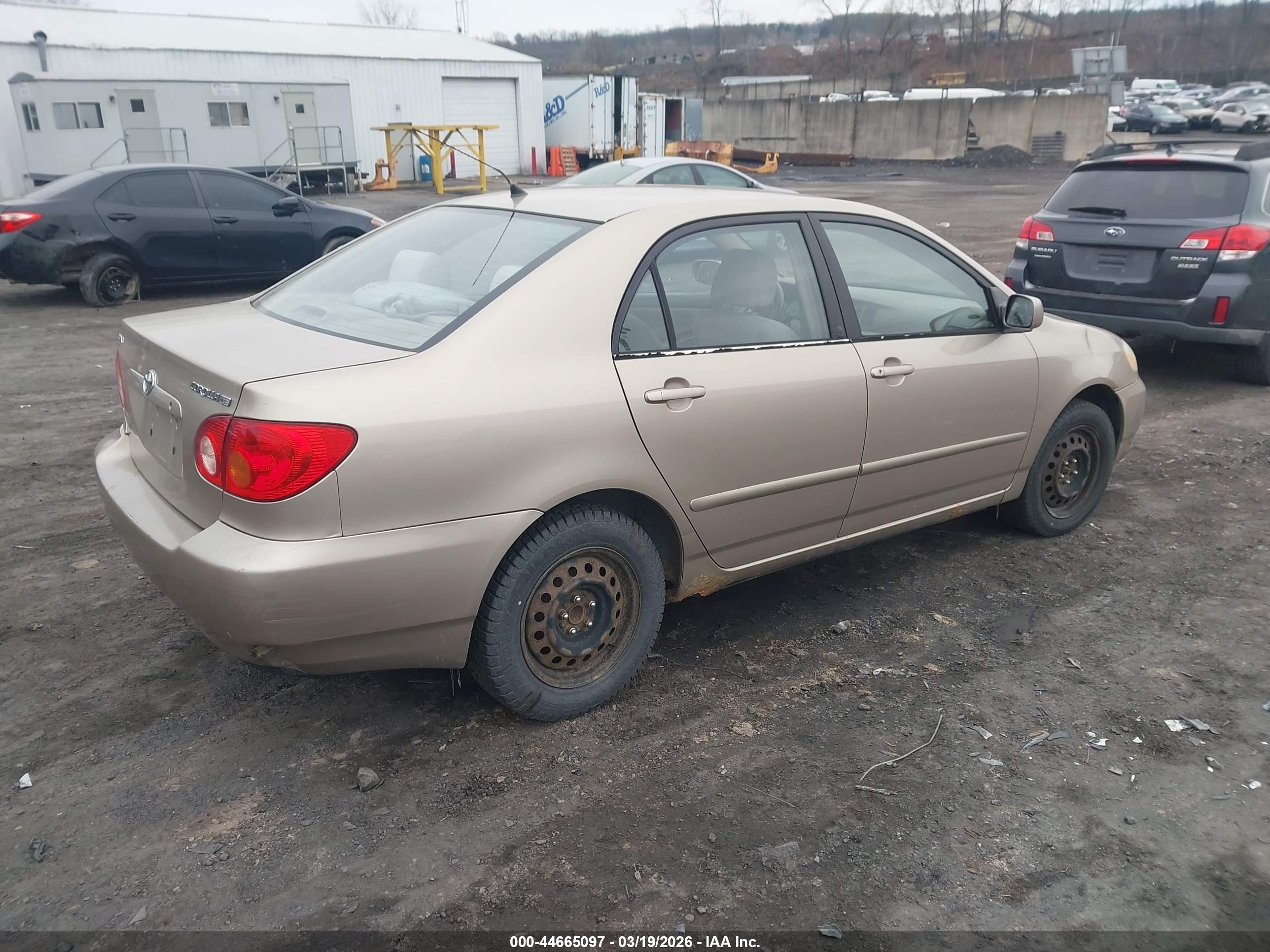 TOYOTA COROLLA image 4