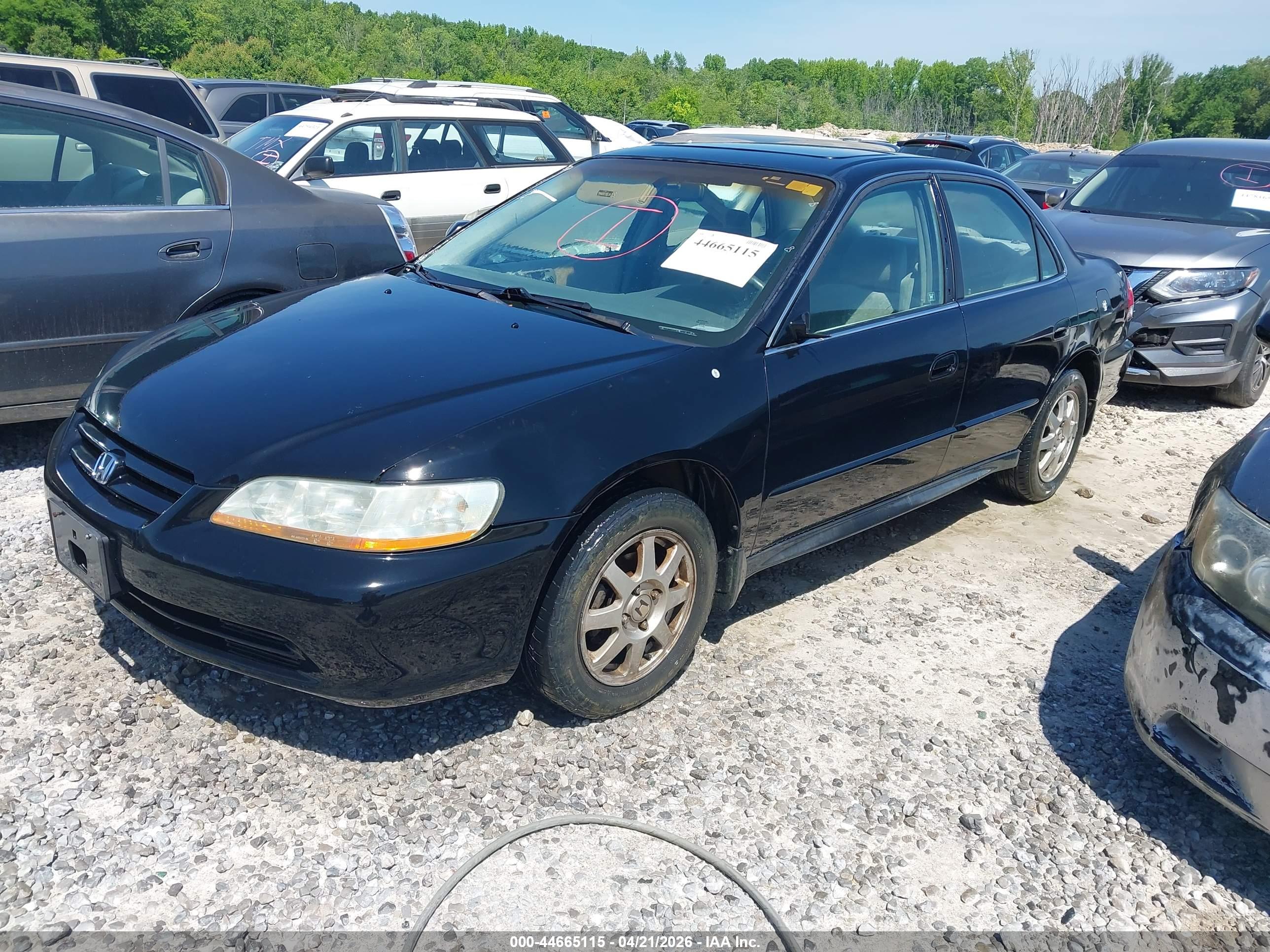 HONDA ACCORD image 2