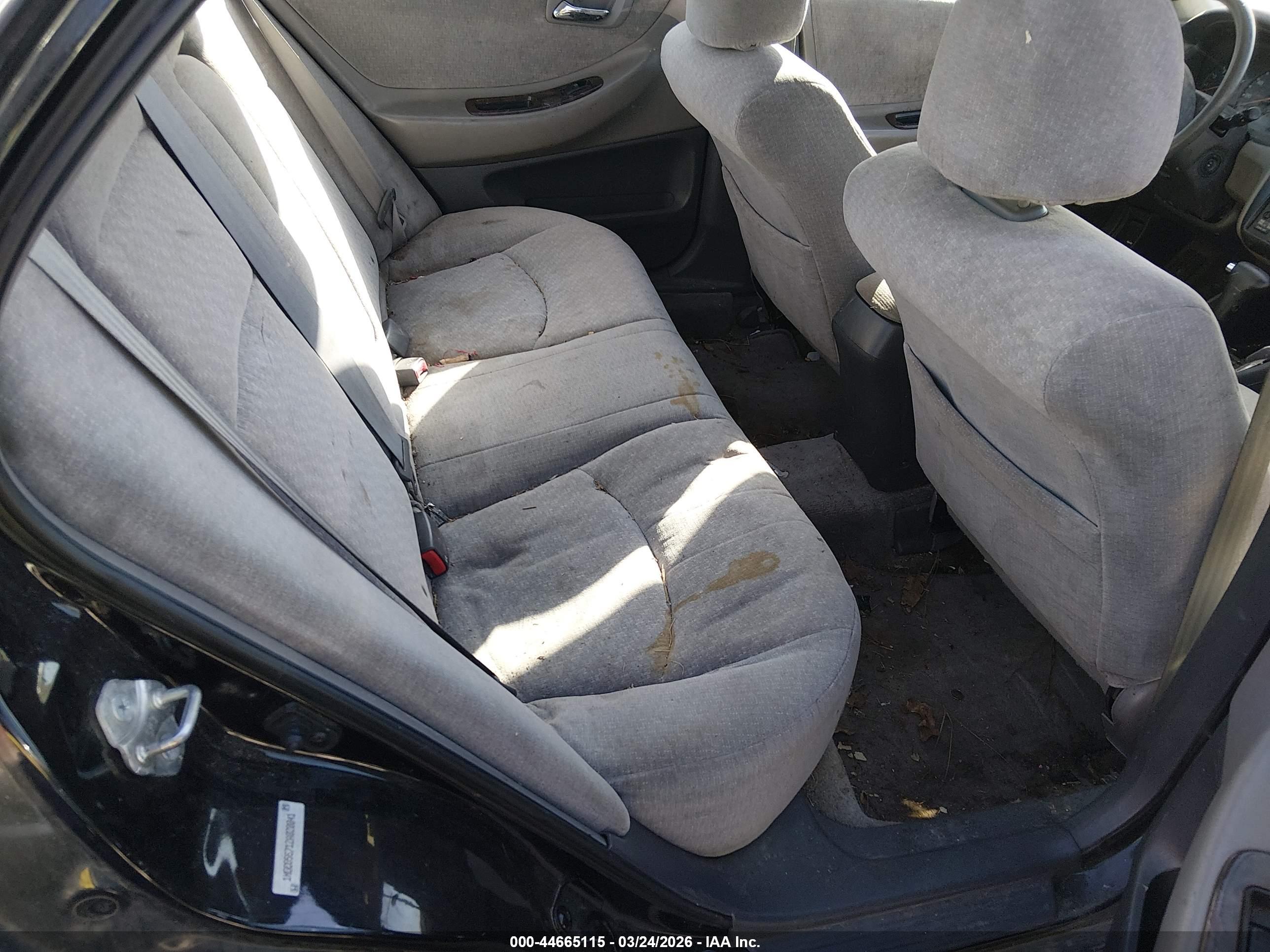 HONDA ACCORD image 8