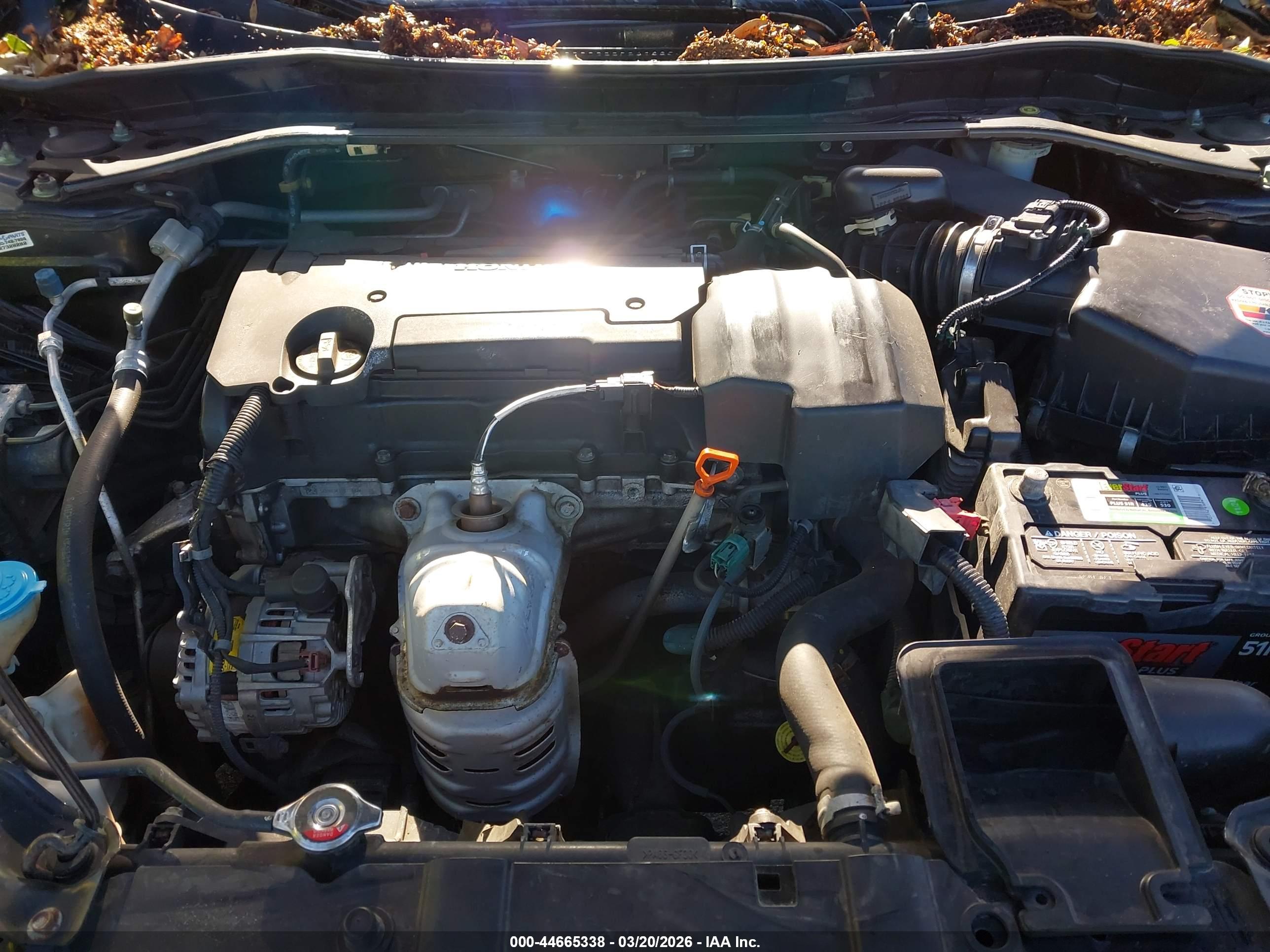 HONDA ACCORD image 10