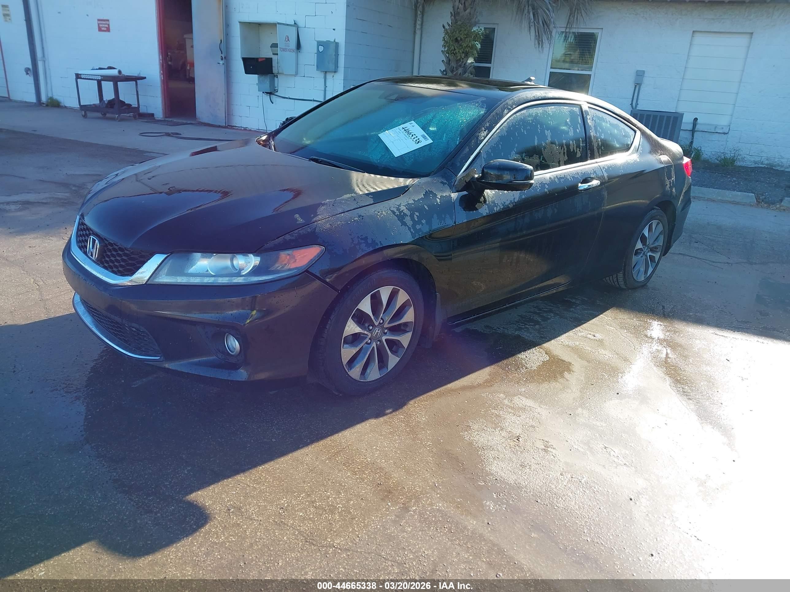 HONDA ACCORD image 2