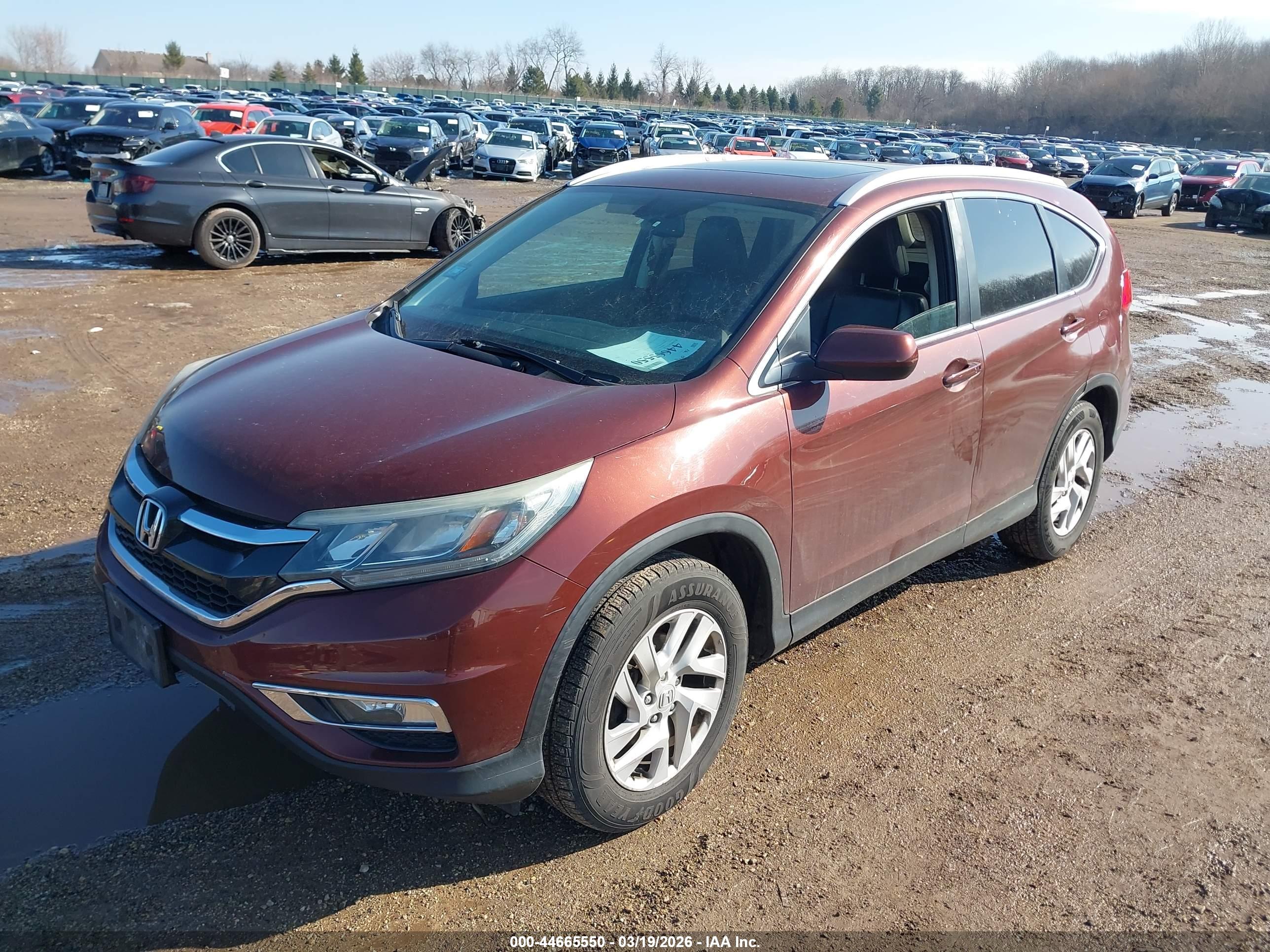 HONDA CR-V image 2