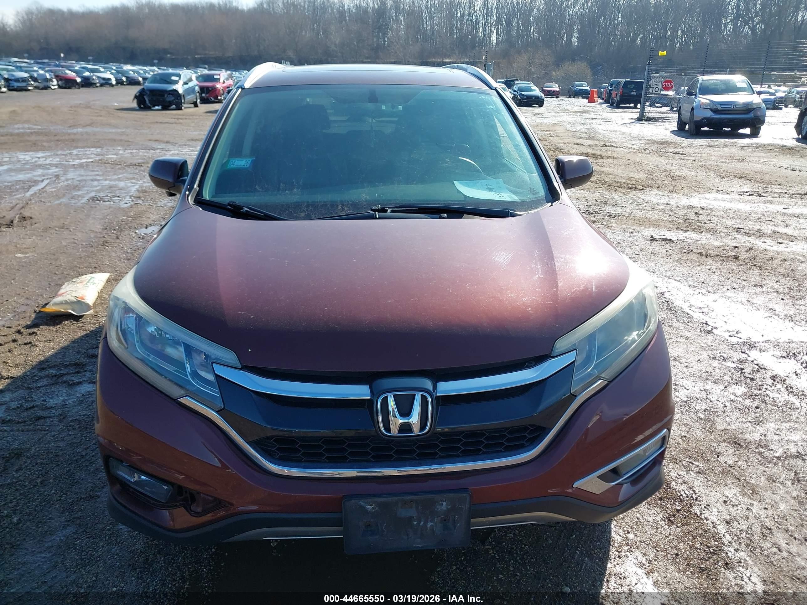 HONDA CR-V image 6