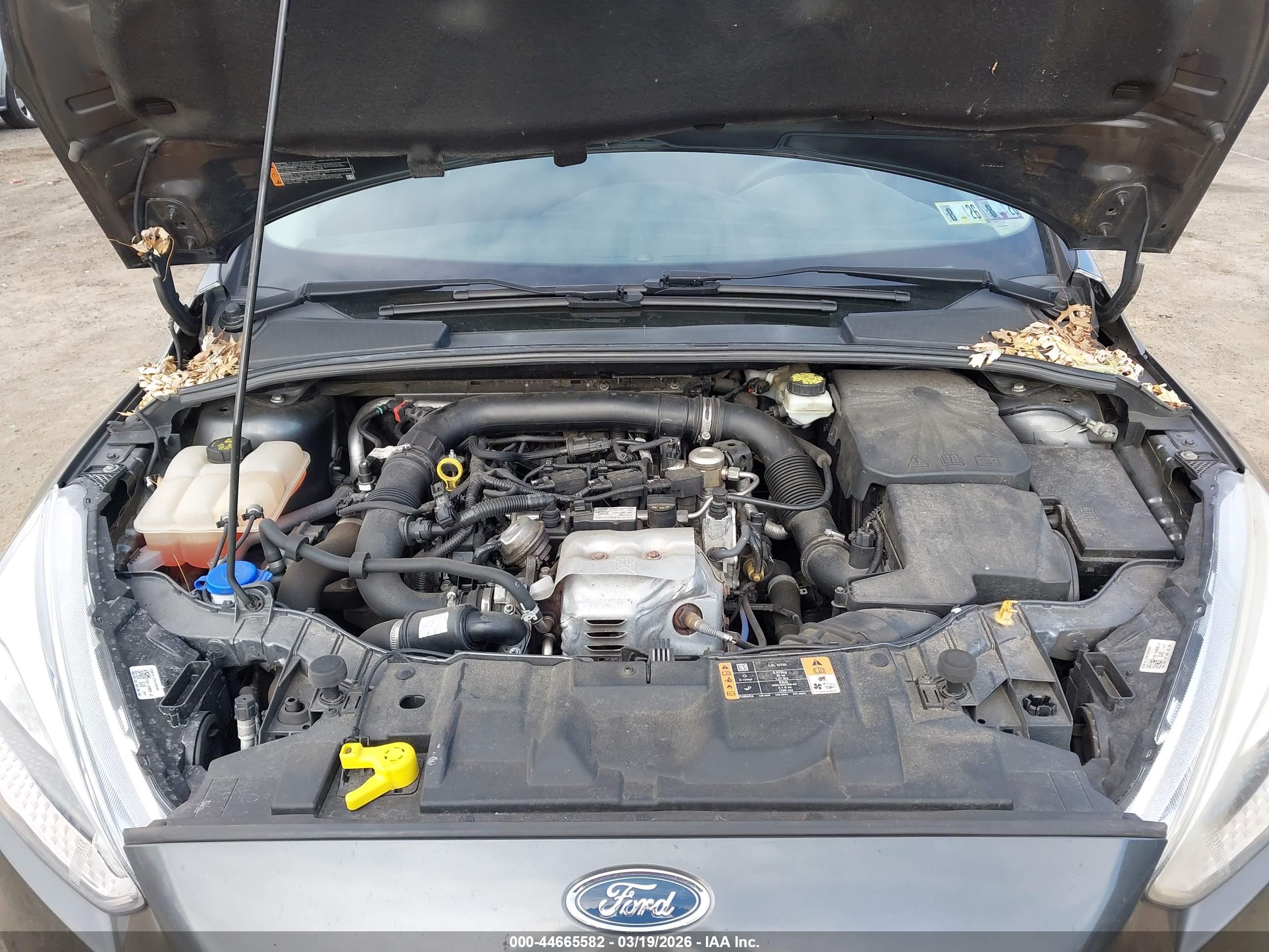 FORD FOCUS image 10