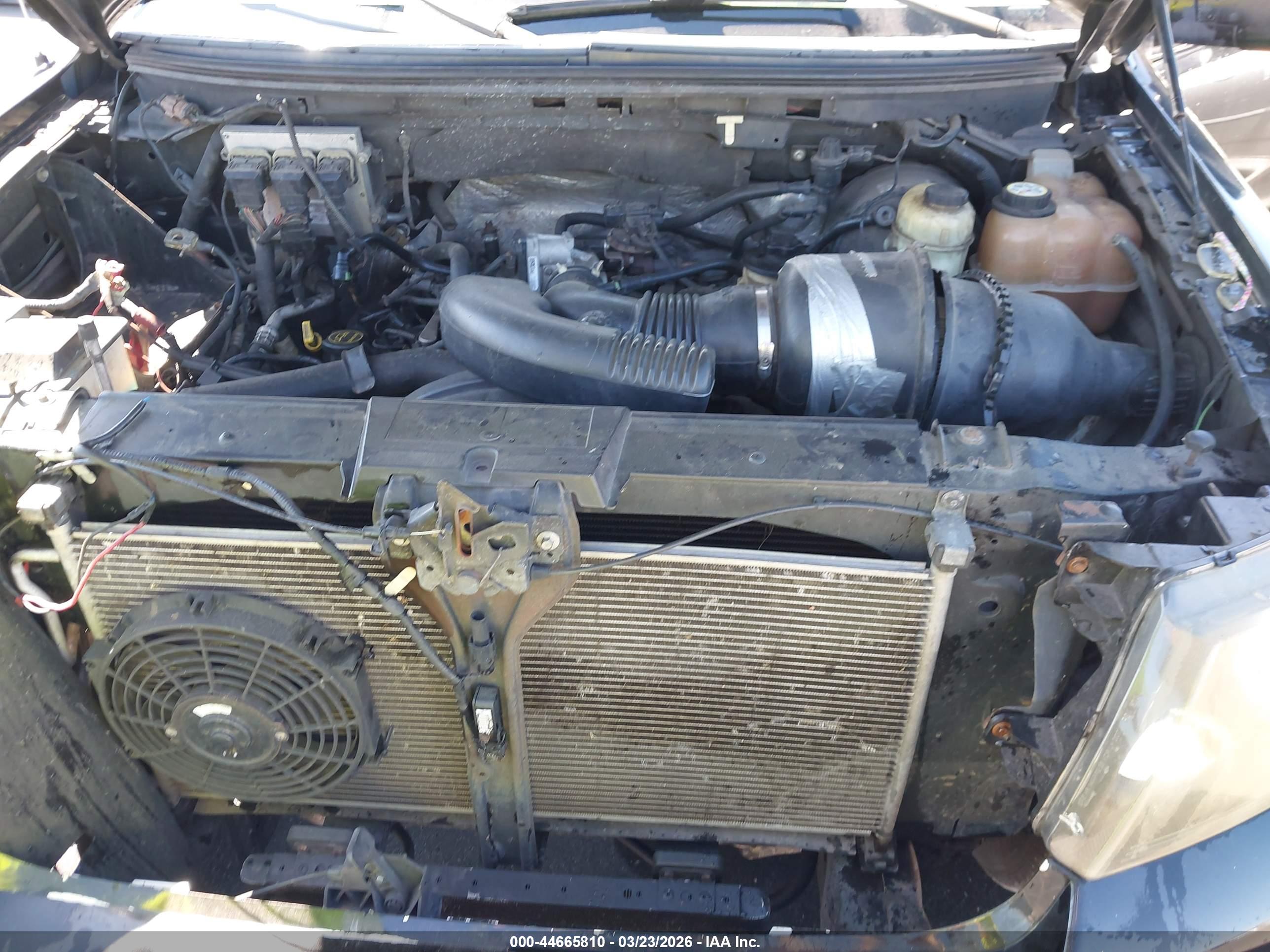 FORD F-150 image 10