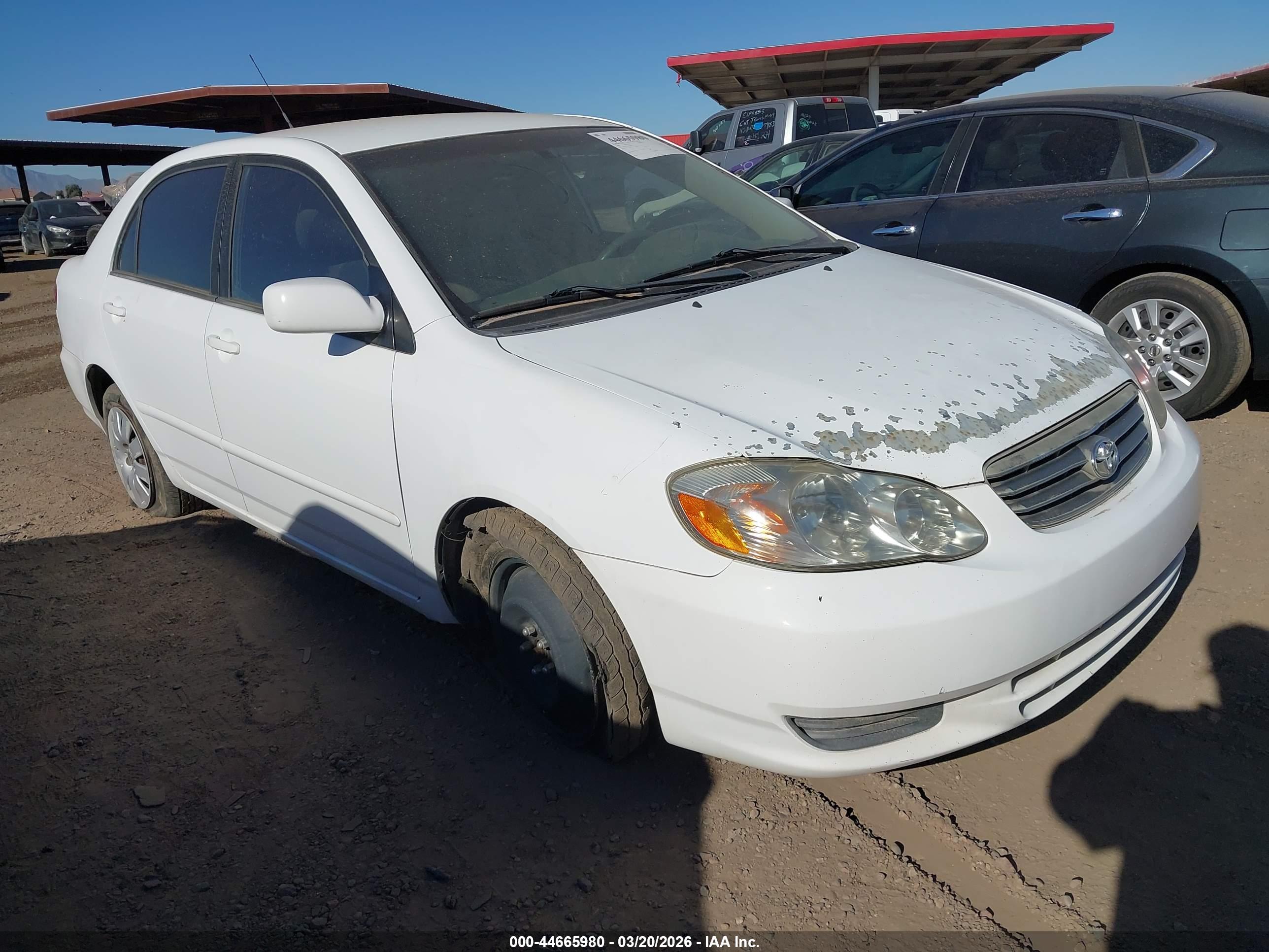 TOYOTA COROLLA image 6