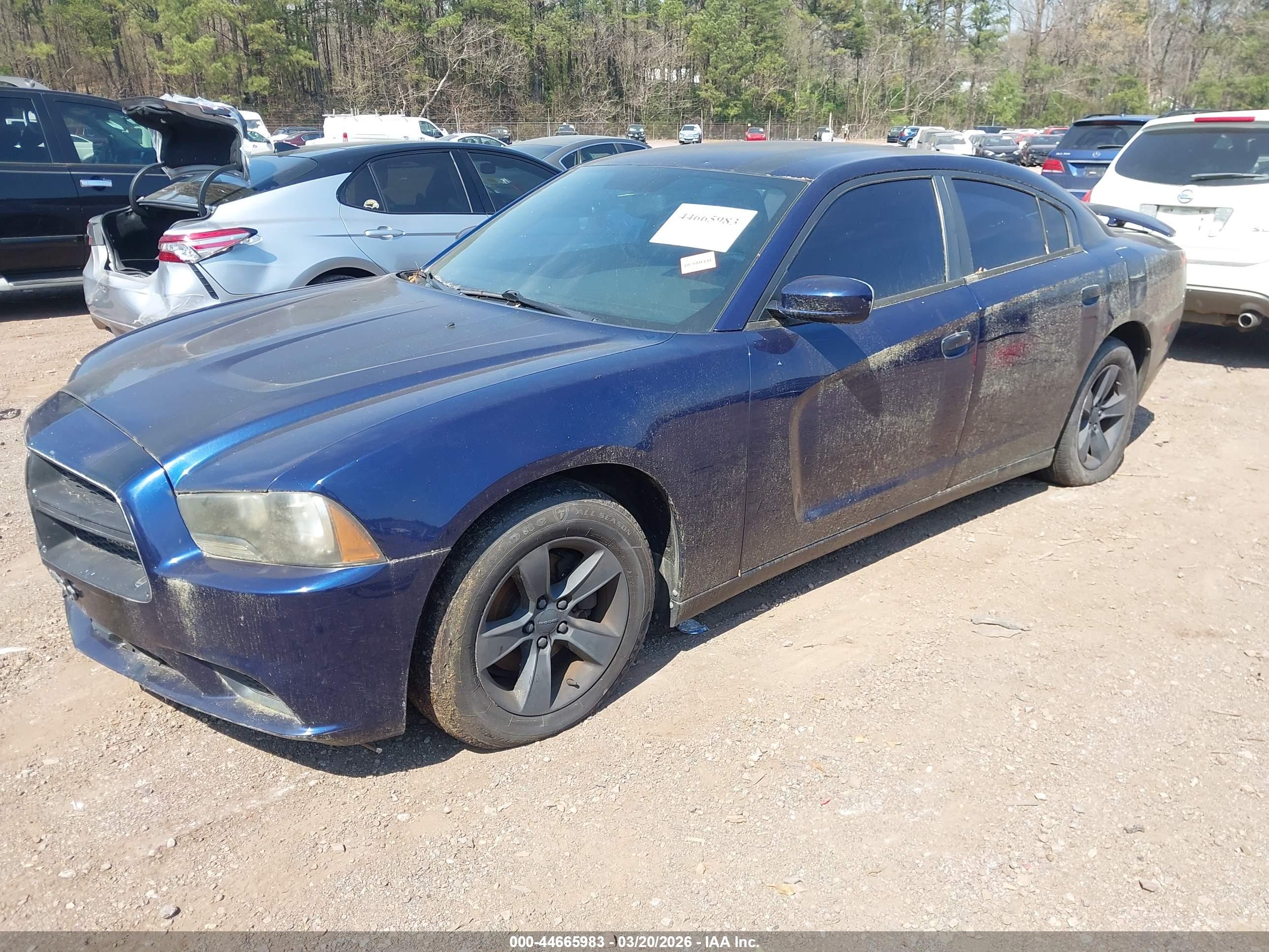 DODGE CHARGER image 2