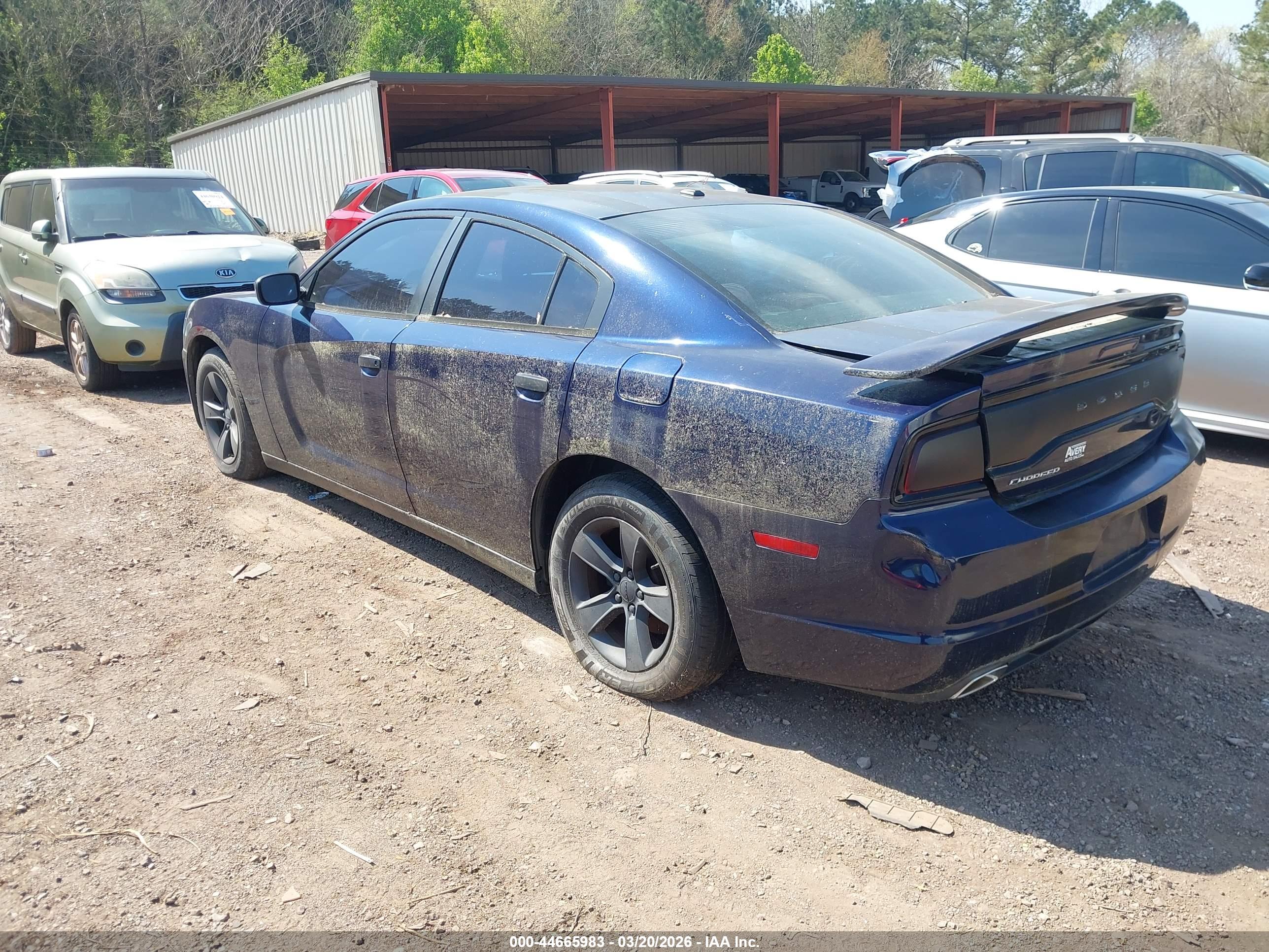 DODGE CHARGER image 3