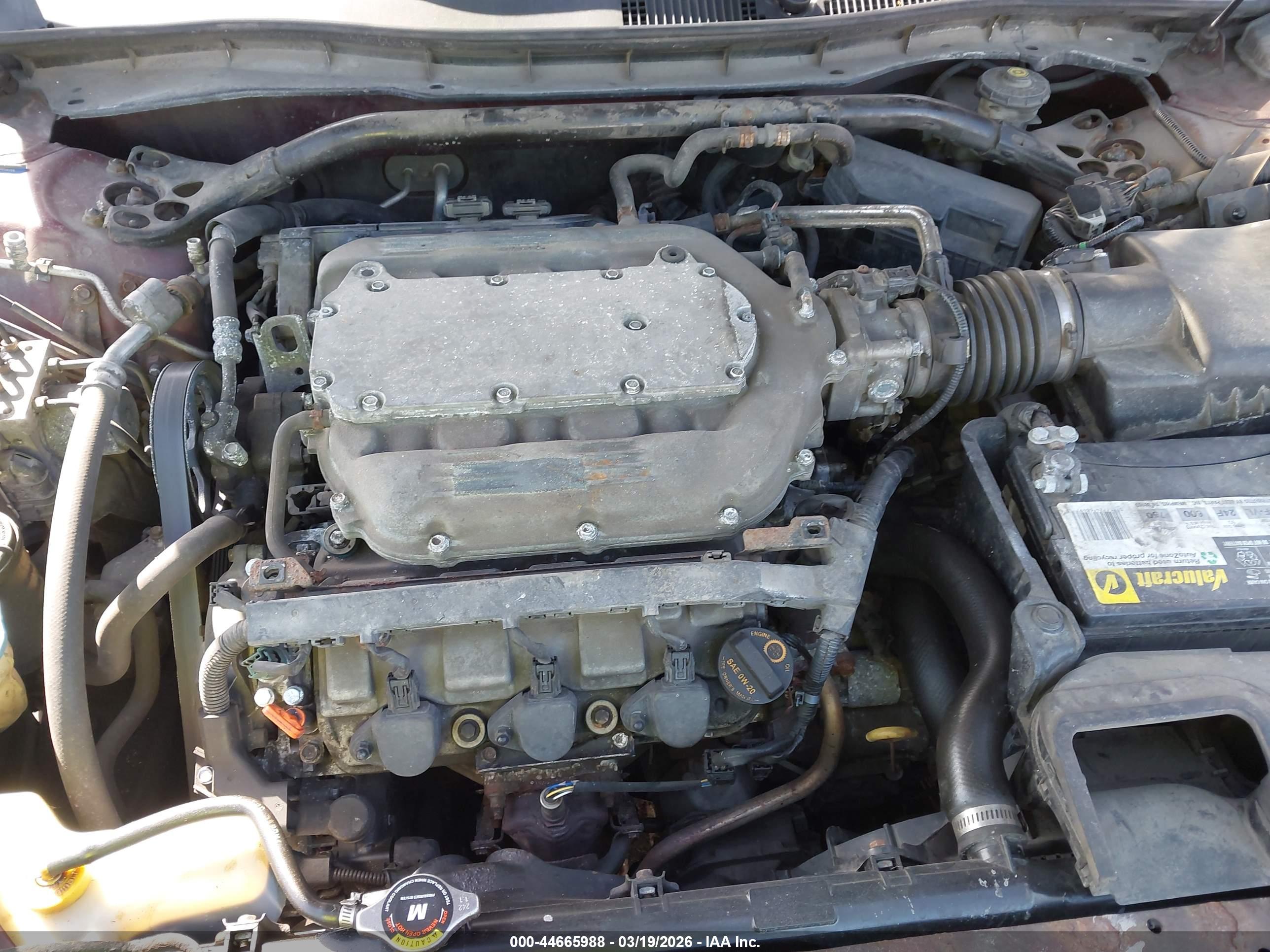 HONDA ACCORD image 10