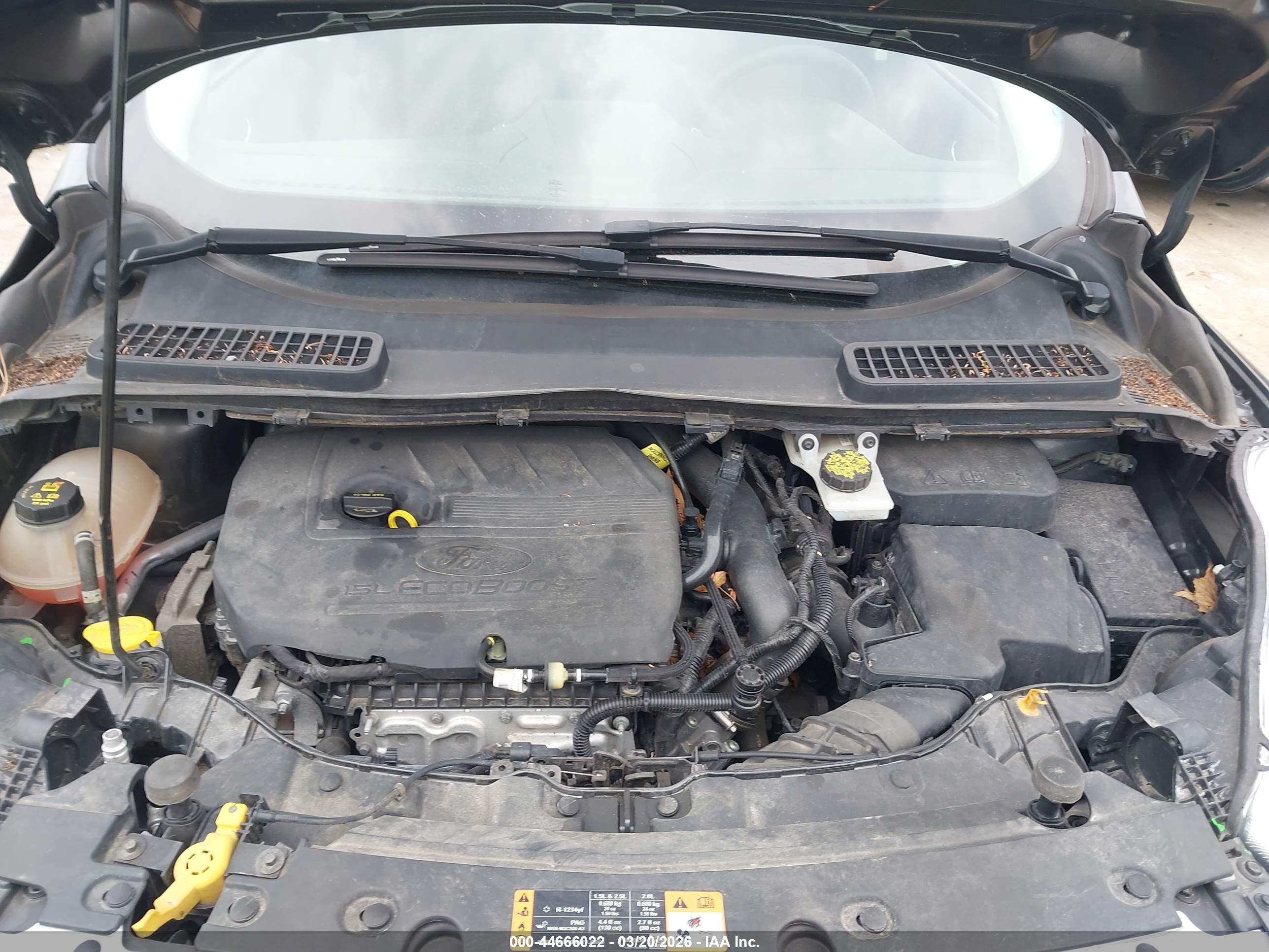 FORD ESCAPE image 10
