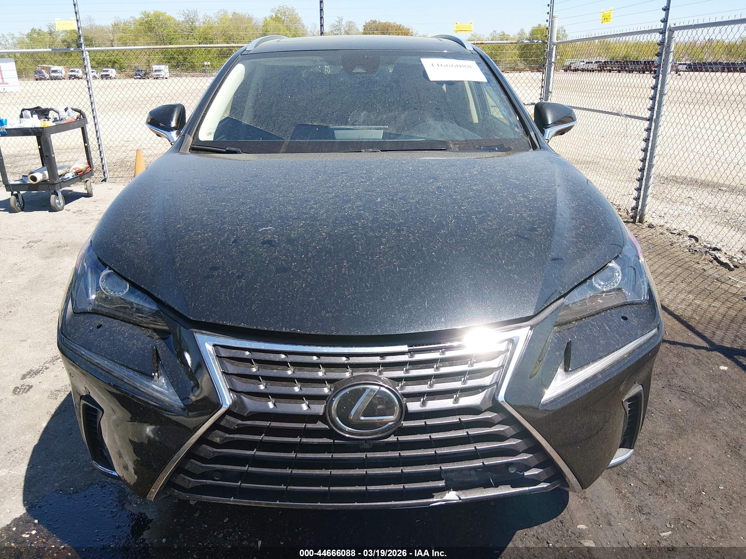 LEXUS NX image 6