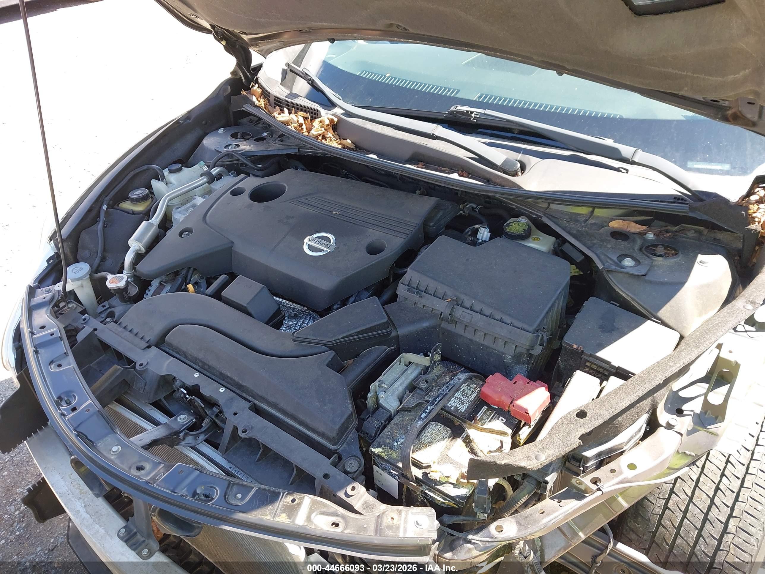 NISSAN ALTIMA image 10
