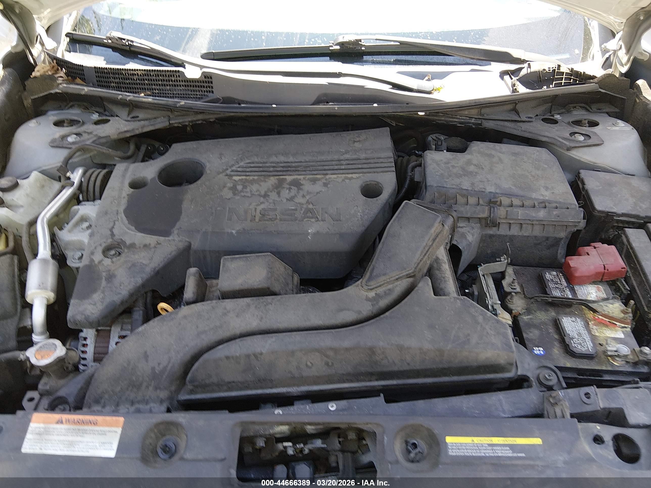 NISSAN ALTIMA image 10
